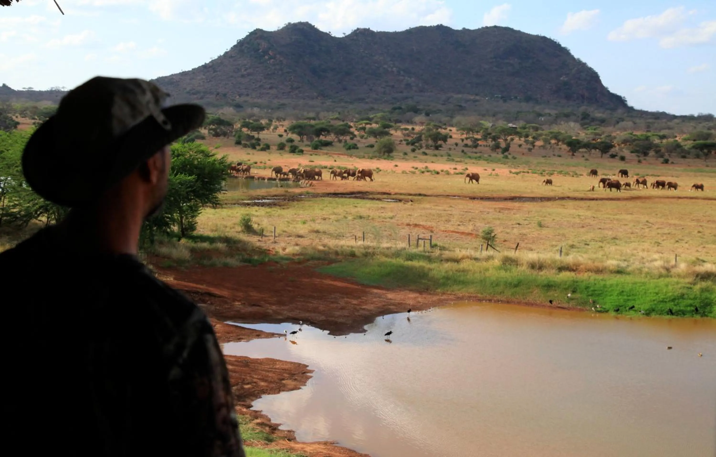 Natural landscape in Voi Wildlife Lodge