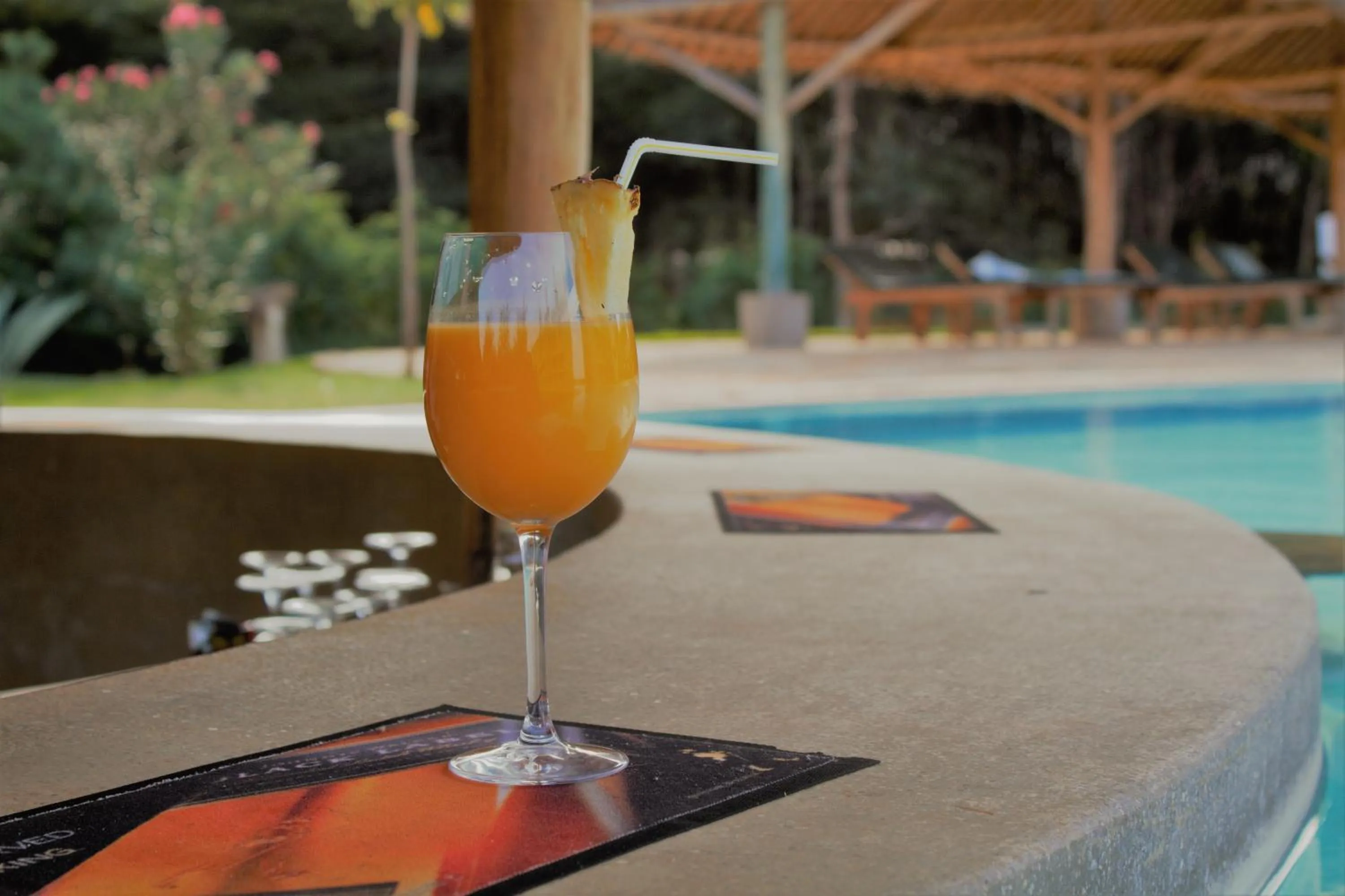 View (from property/room), Drinks in Voi Wildlife Lodge