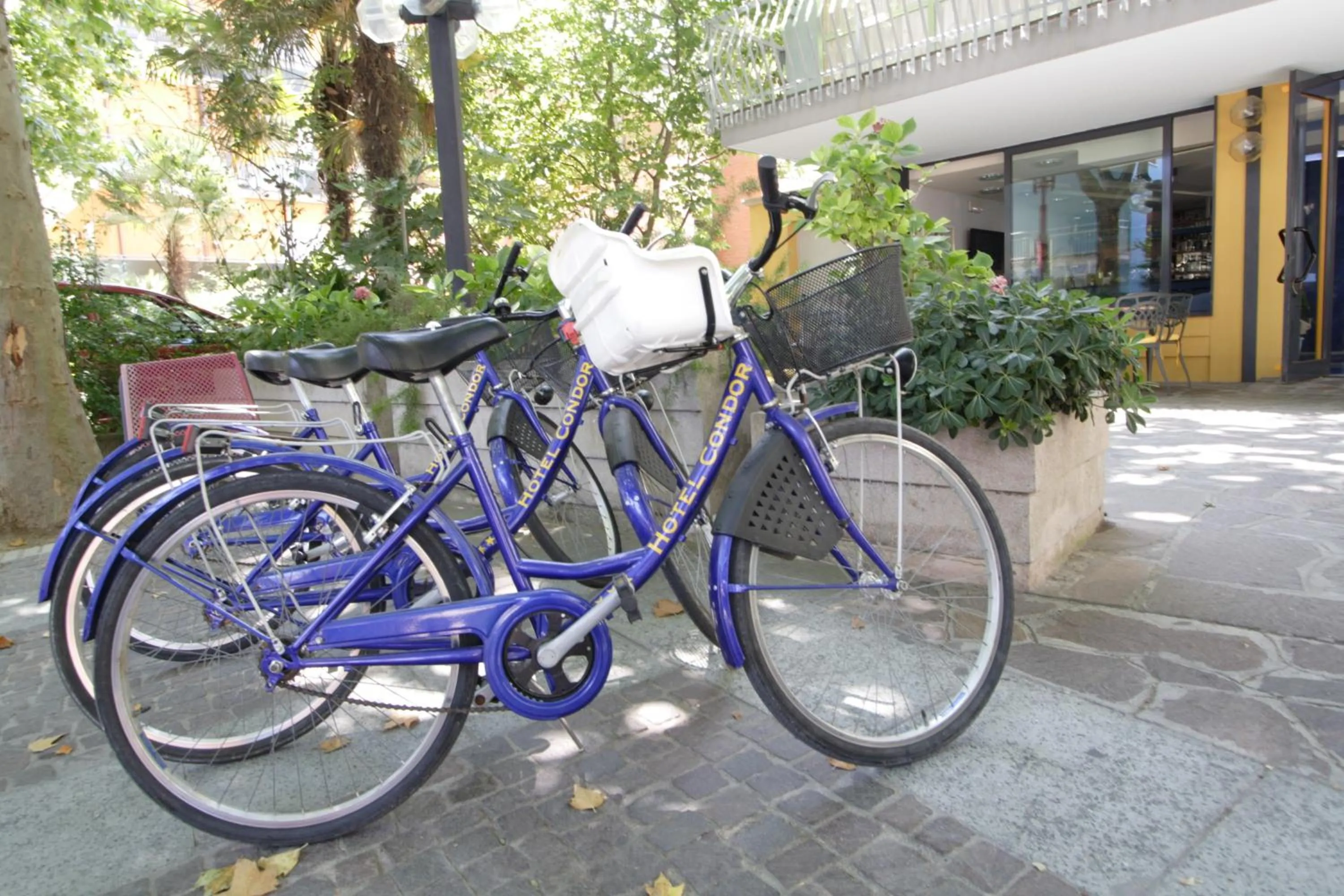 Activities in Hotel Condor