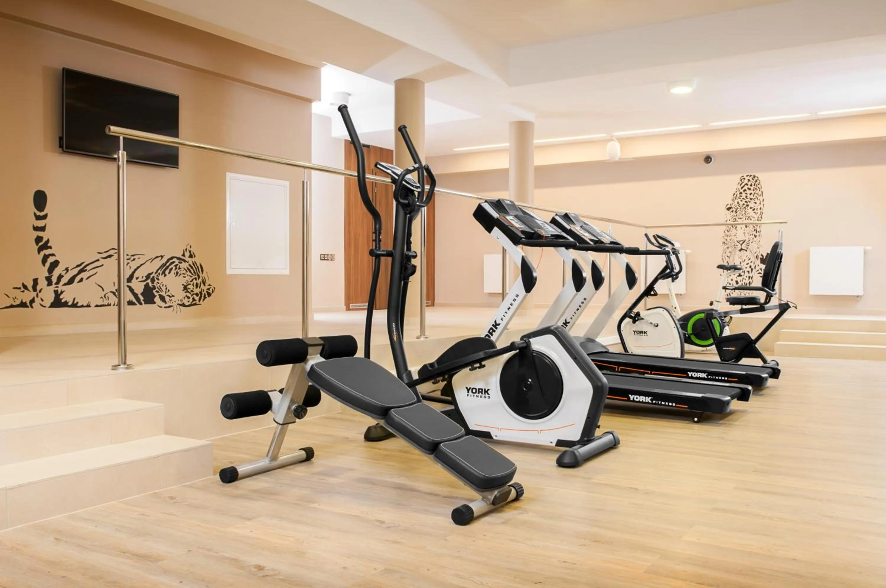 Activities in Hotel Piano