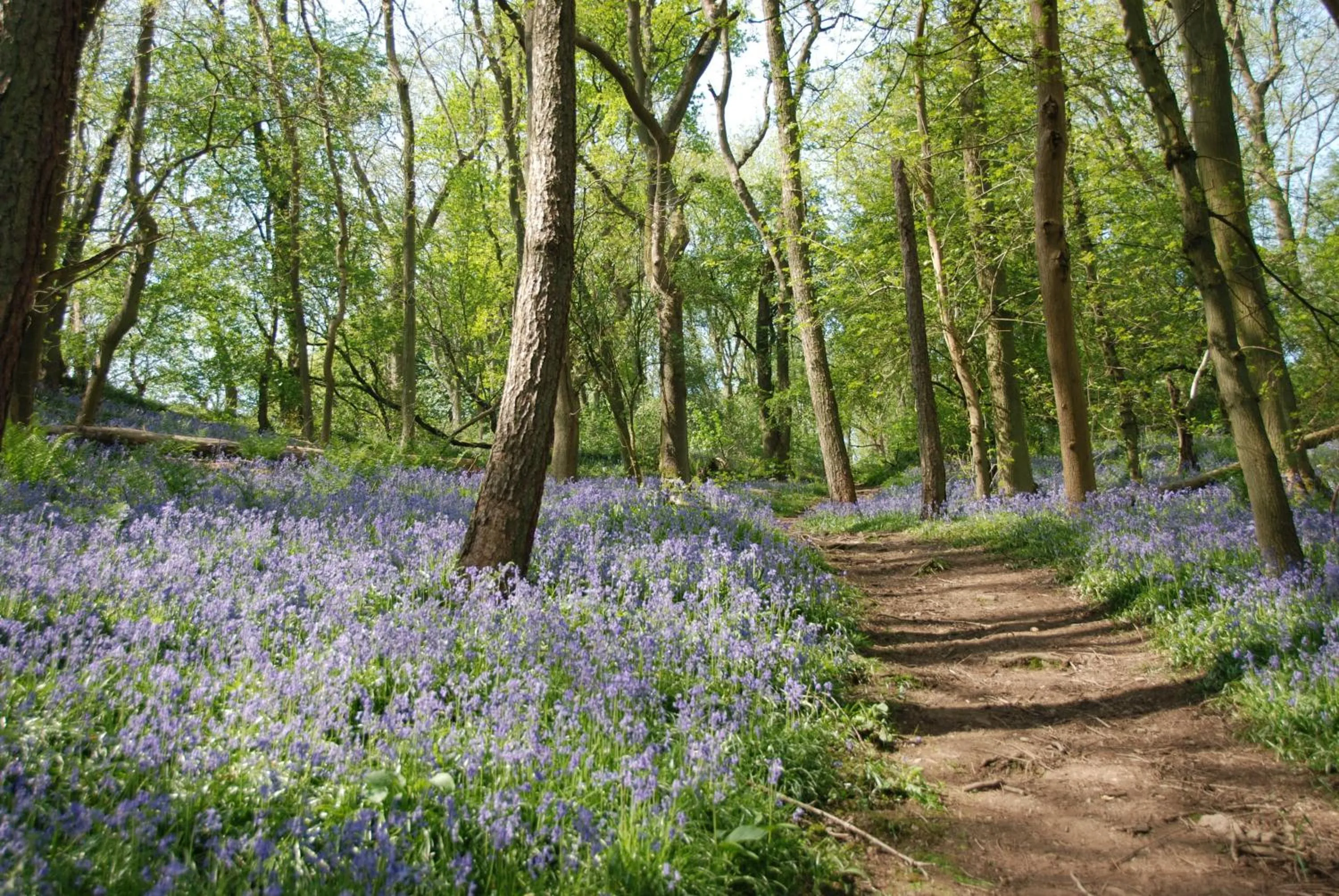 Area and facilities in The Malvern Hills Hotel