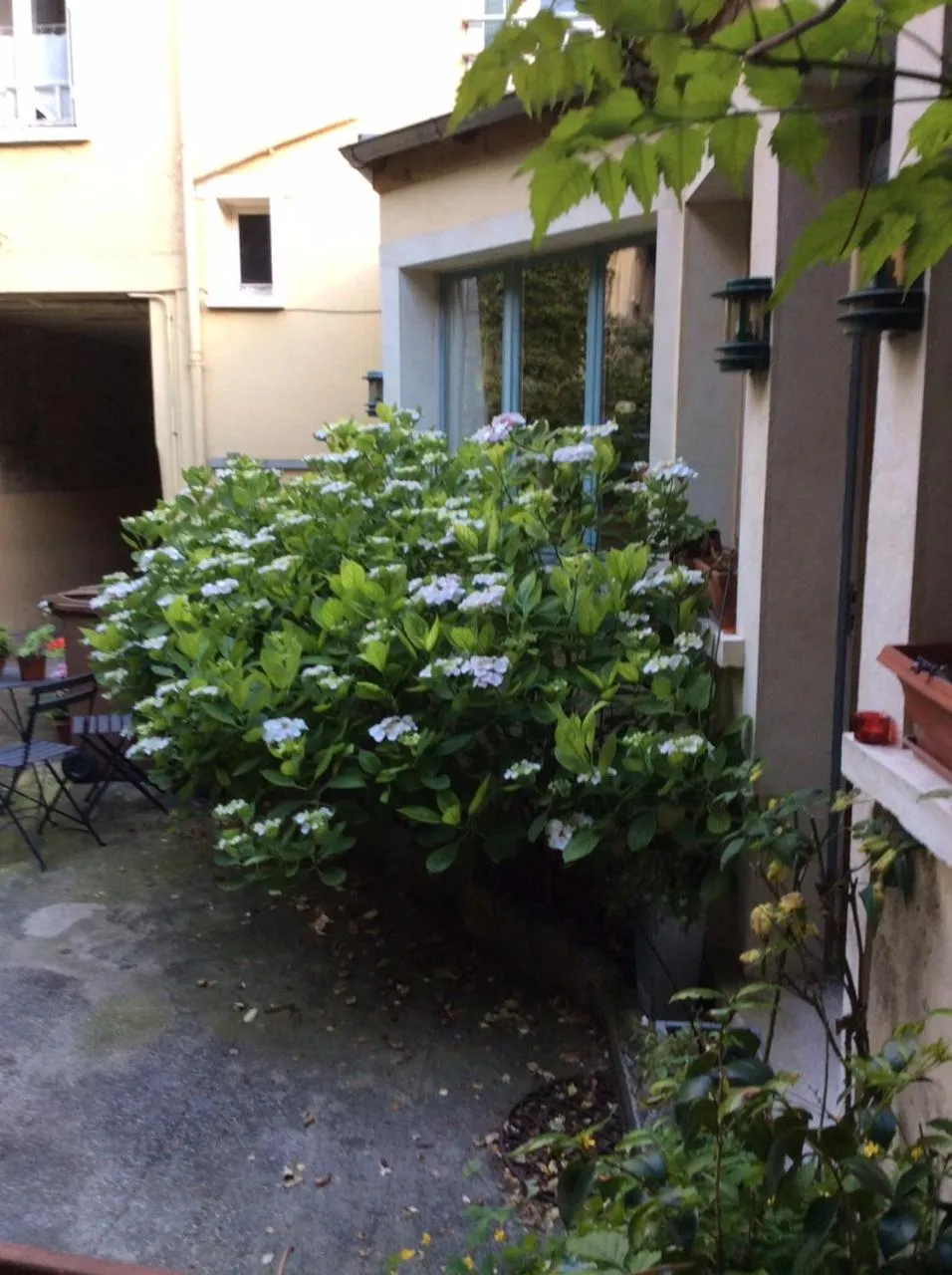 Garden in Porte de Paris