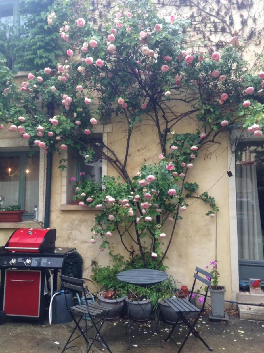 Garden in Porte de Paris