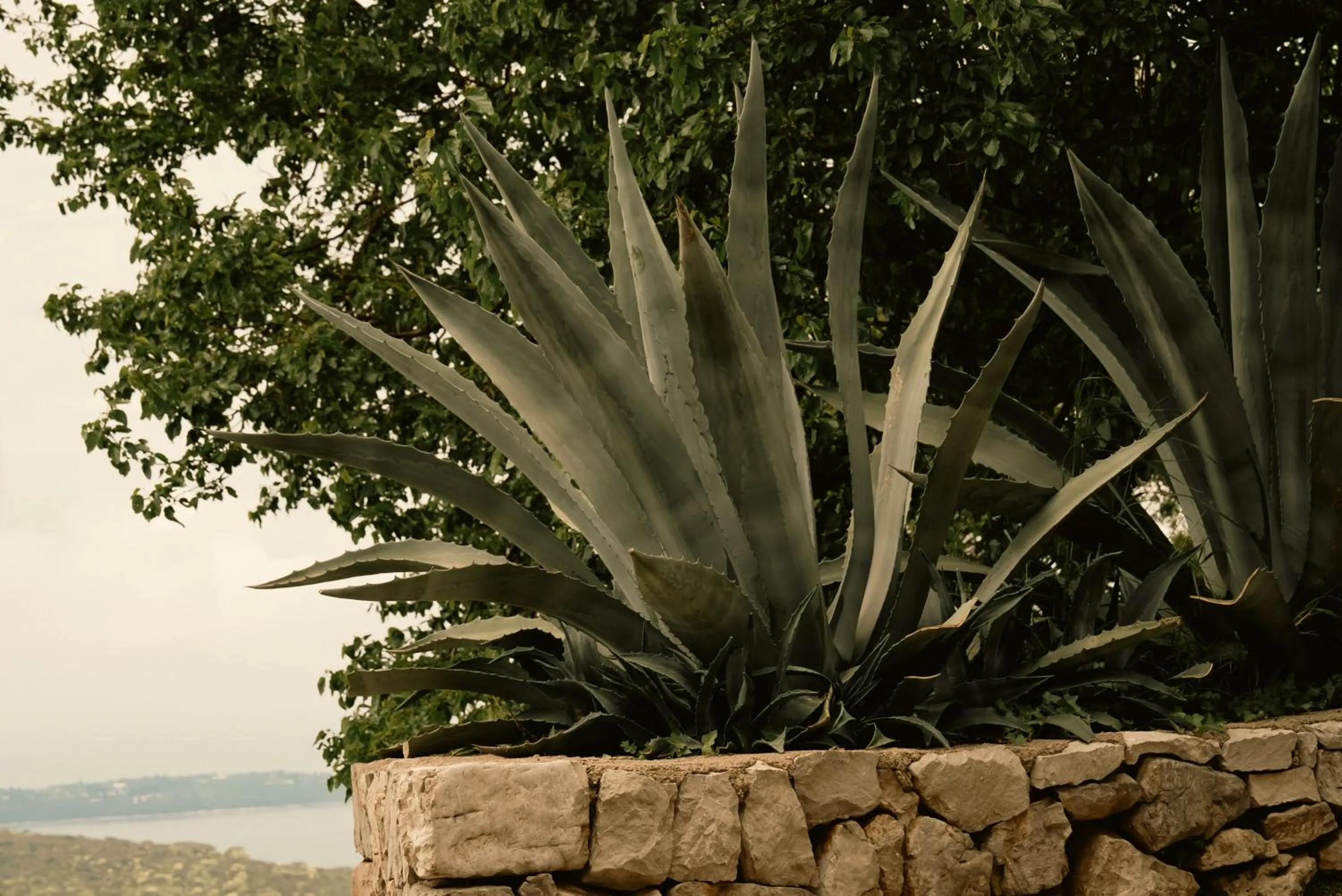 Day in Klinci Village Resort