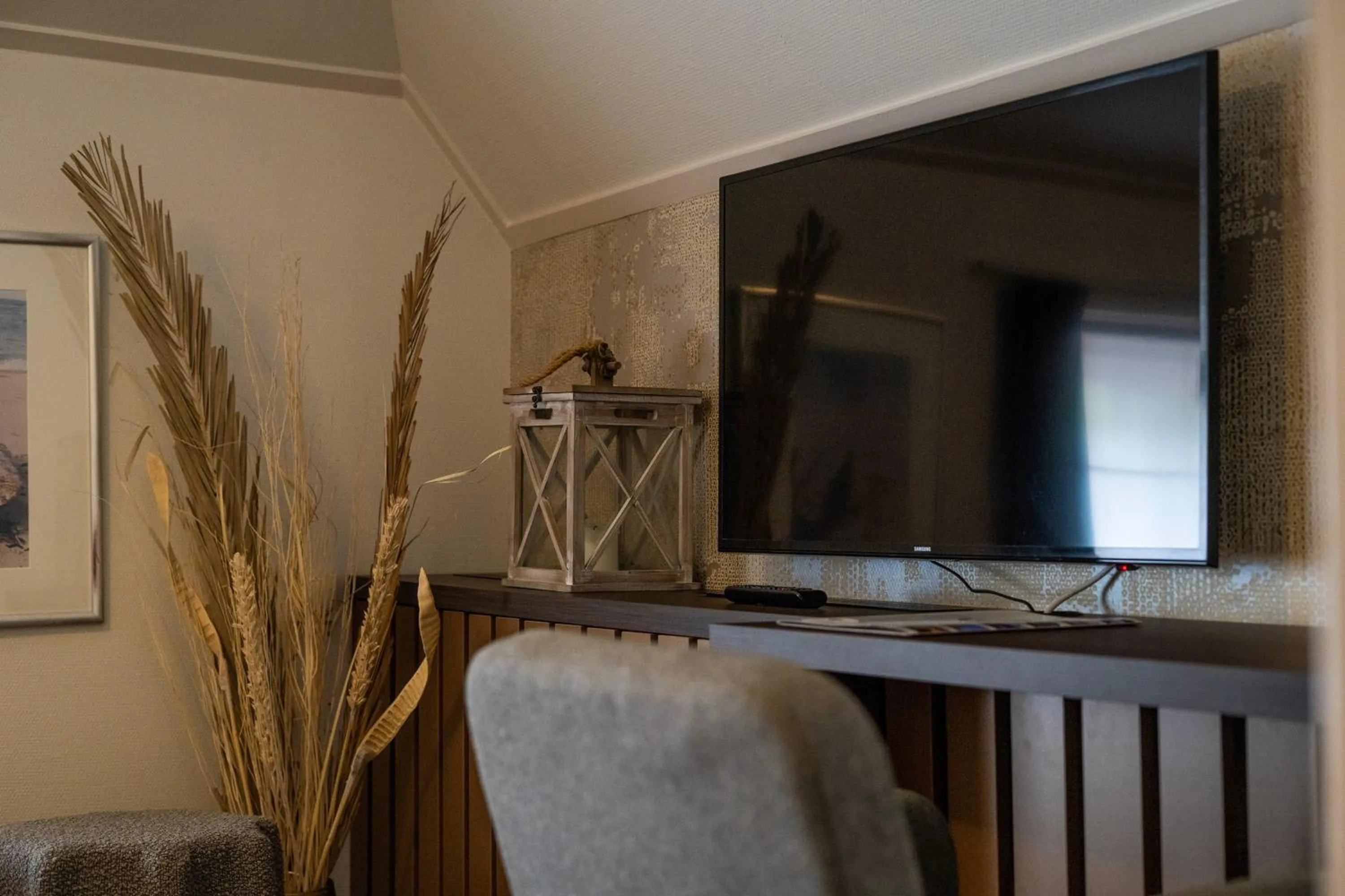 TV and multimedia in Hotel Veere