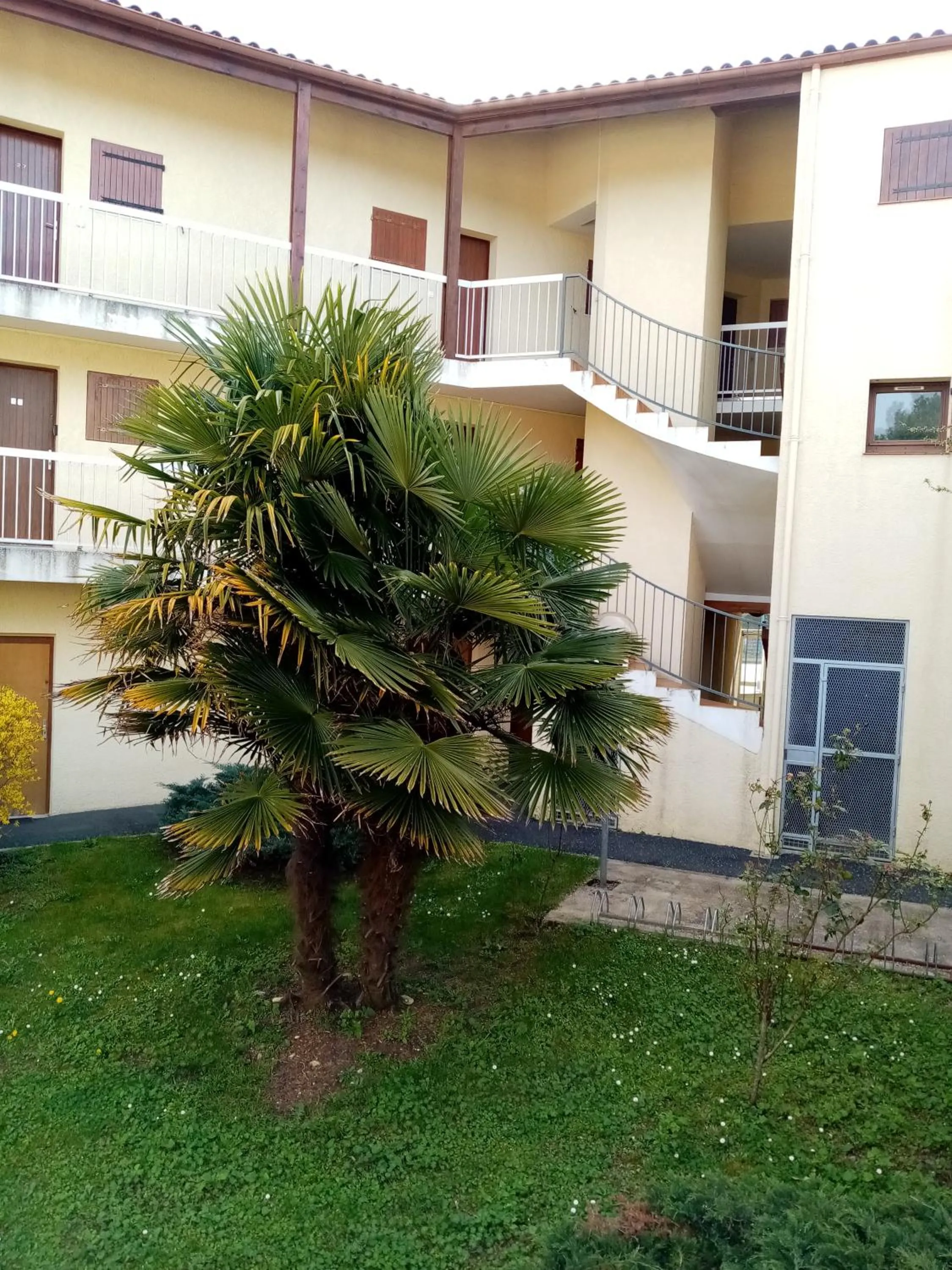 Property building in Charming appartment in the heart of La Palmyre
