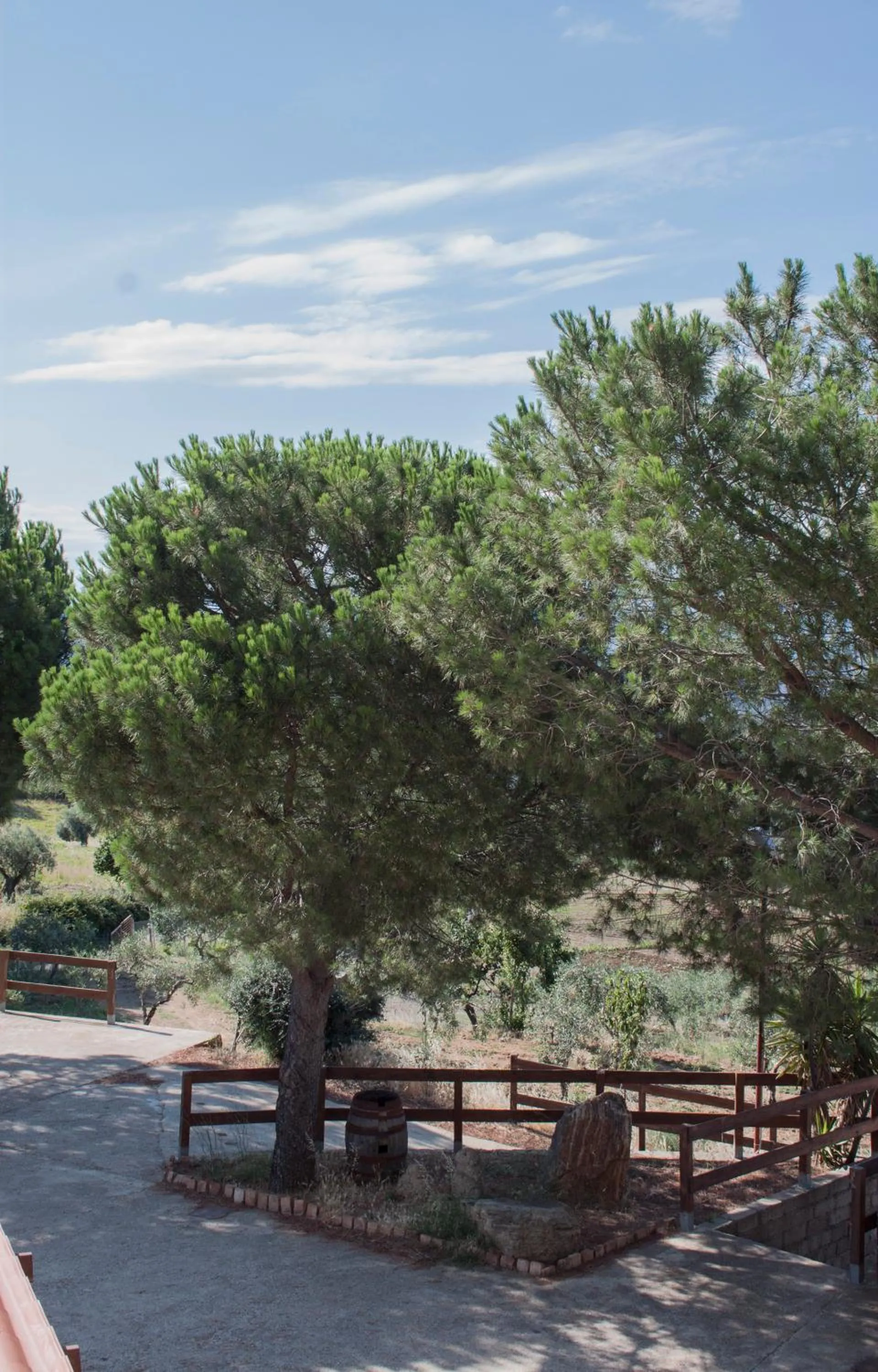 Other in La Giara B&B