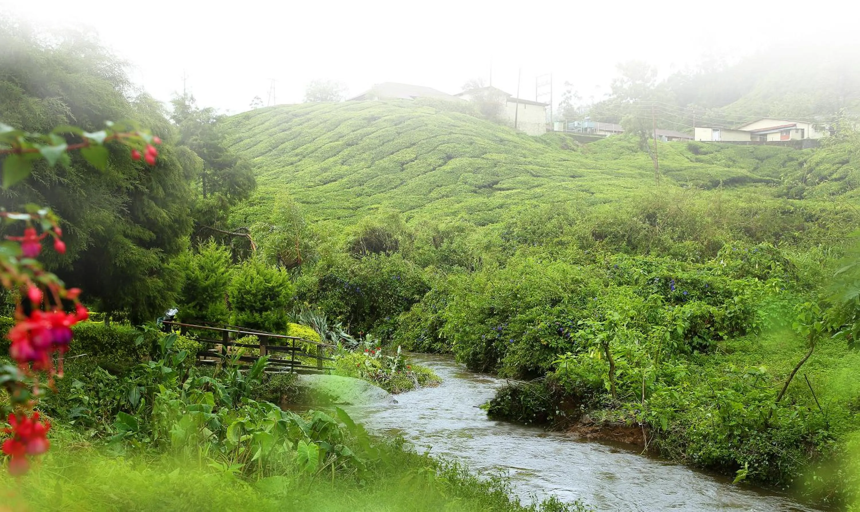 Nearby landmark in Hotel C7 Munnar
