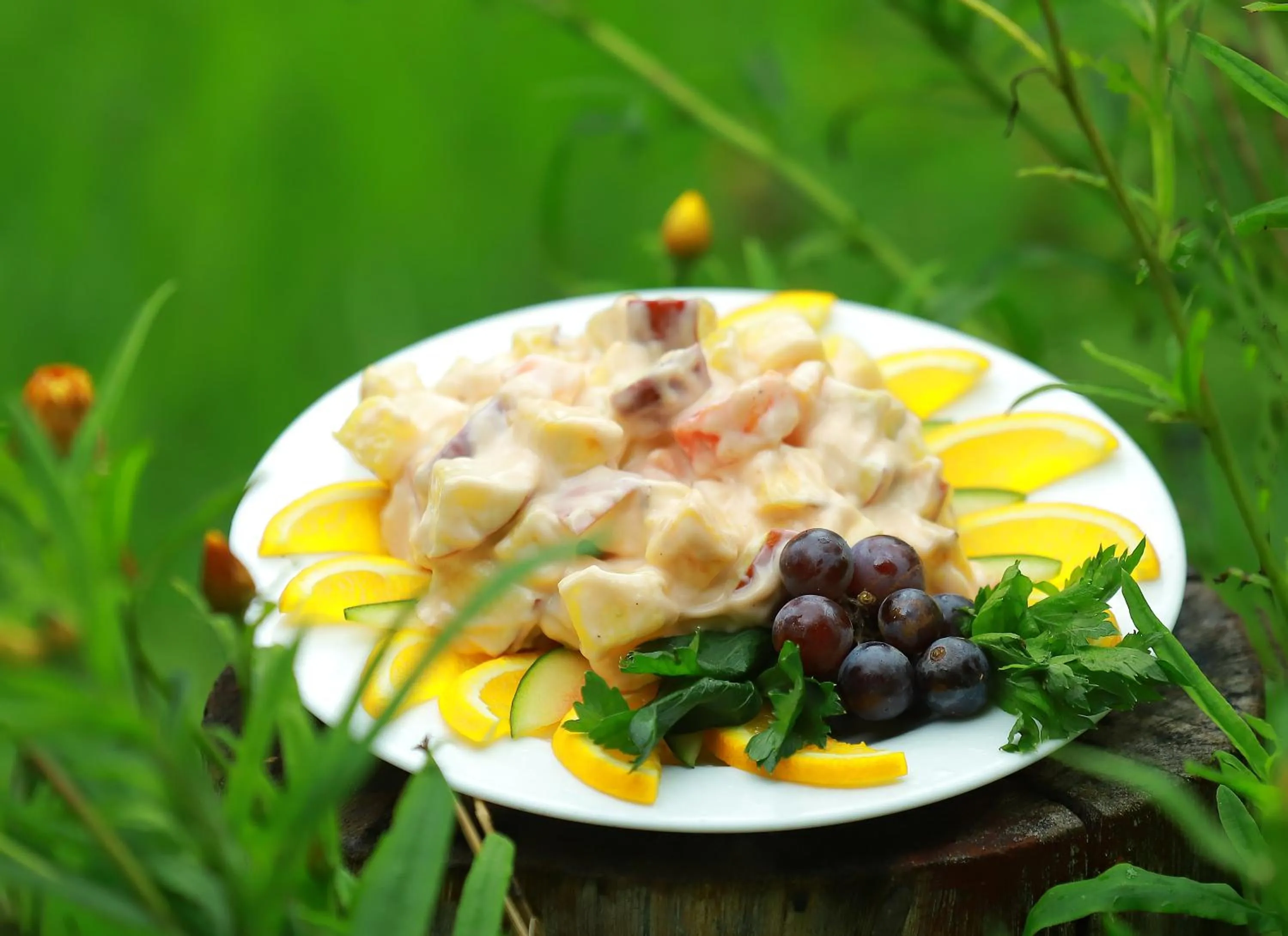 Food close-up in Hotel C7 Munnar