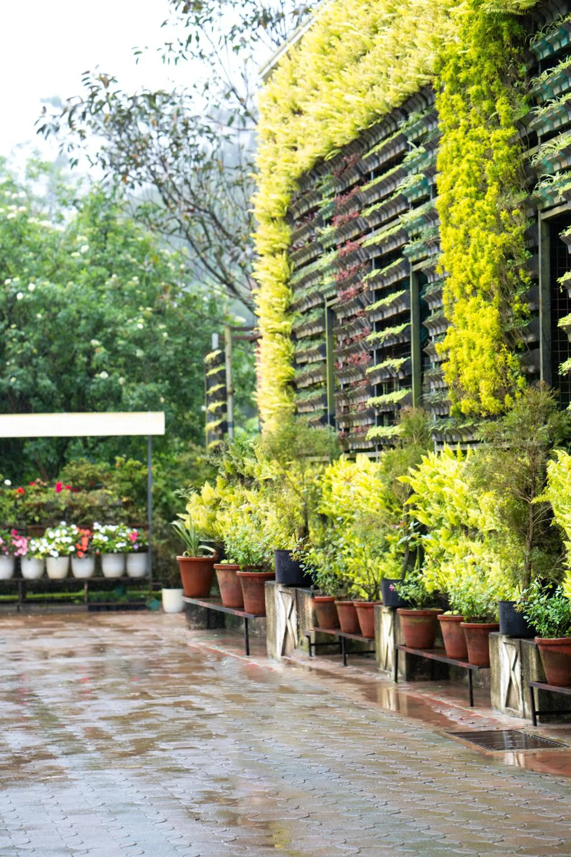 Garden view in Hotel C7 Munnar