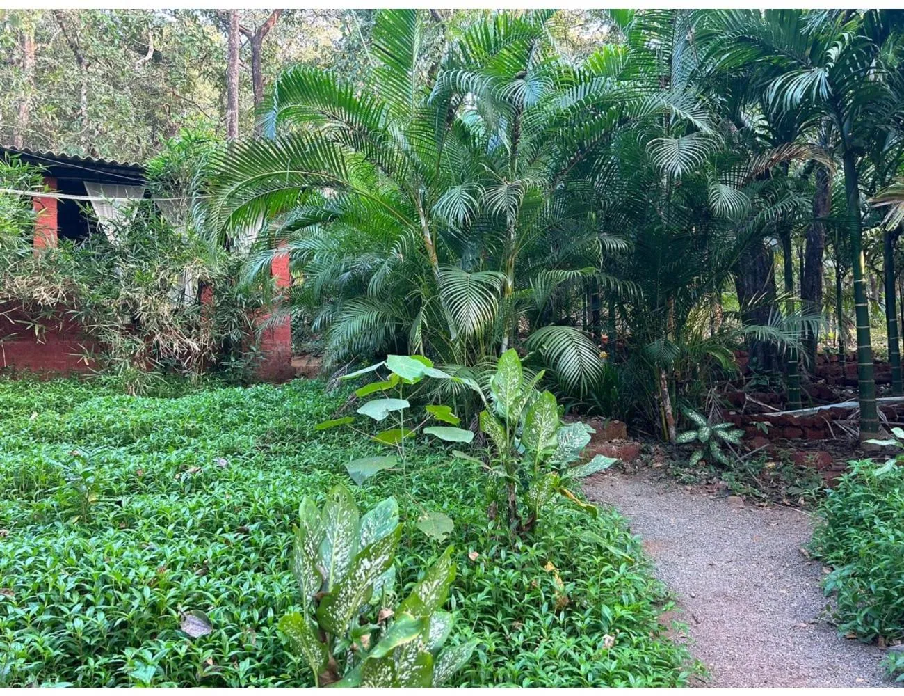 Day in The Earthen Nest Resort, Canacona, Goa