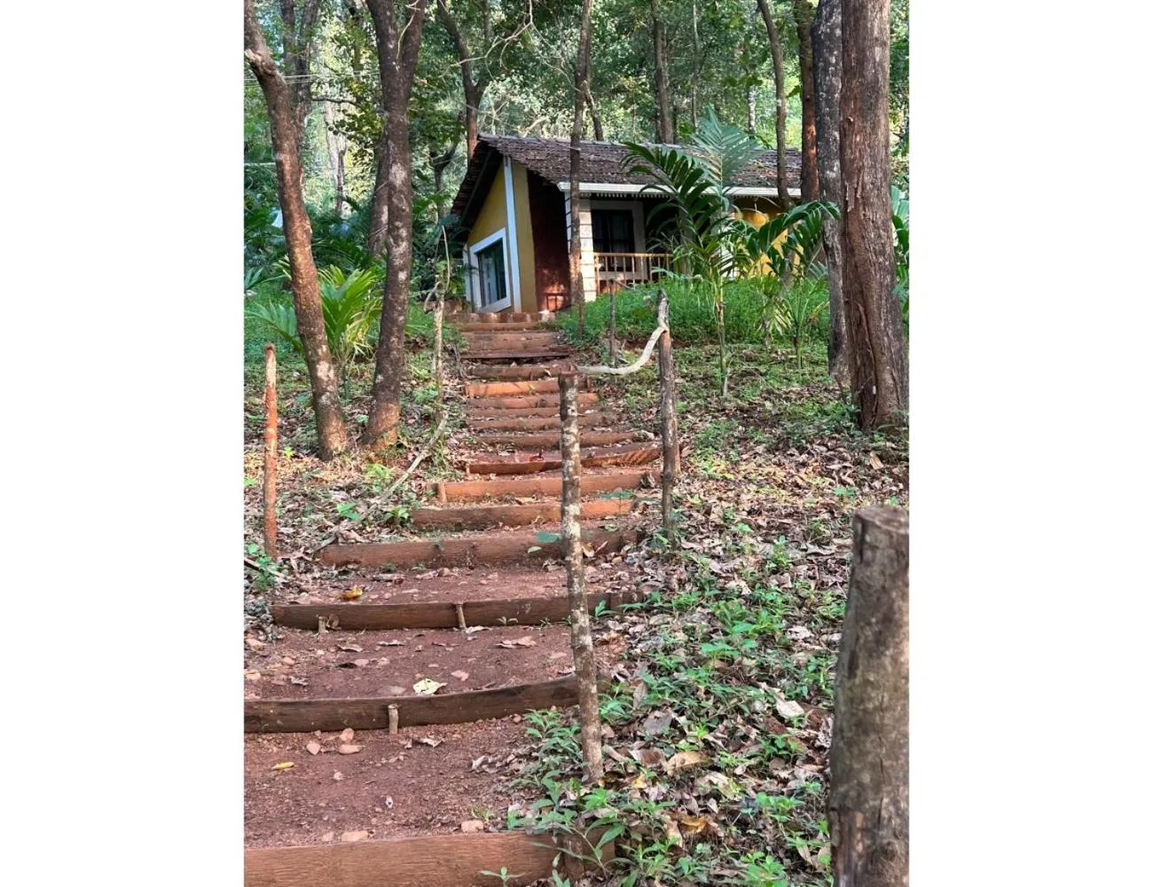 Natural landscape in The Earthen Nest Resort, Canacona, Goa