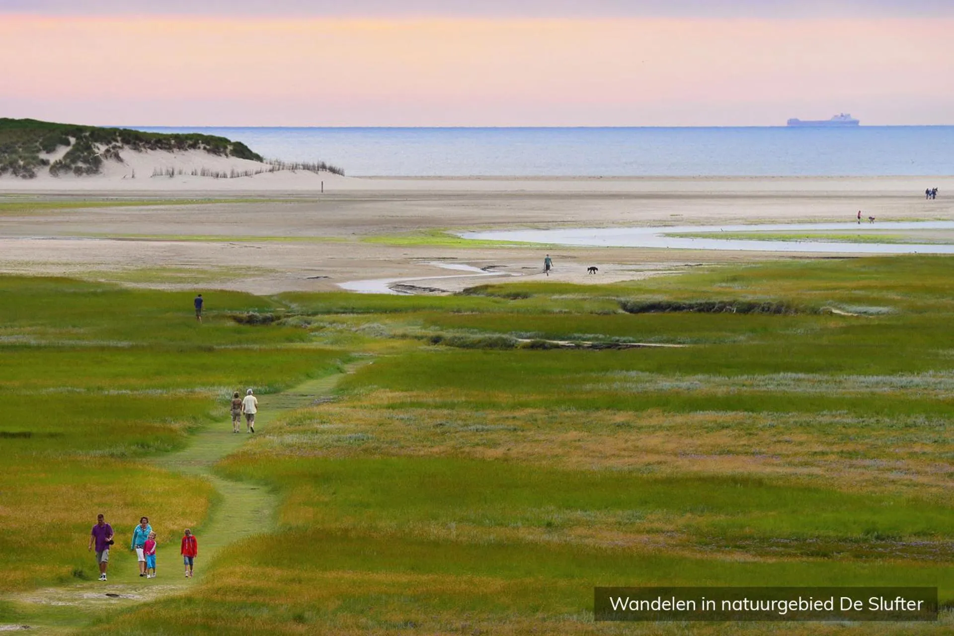 Day in Vakantiepark De Krim Texel