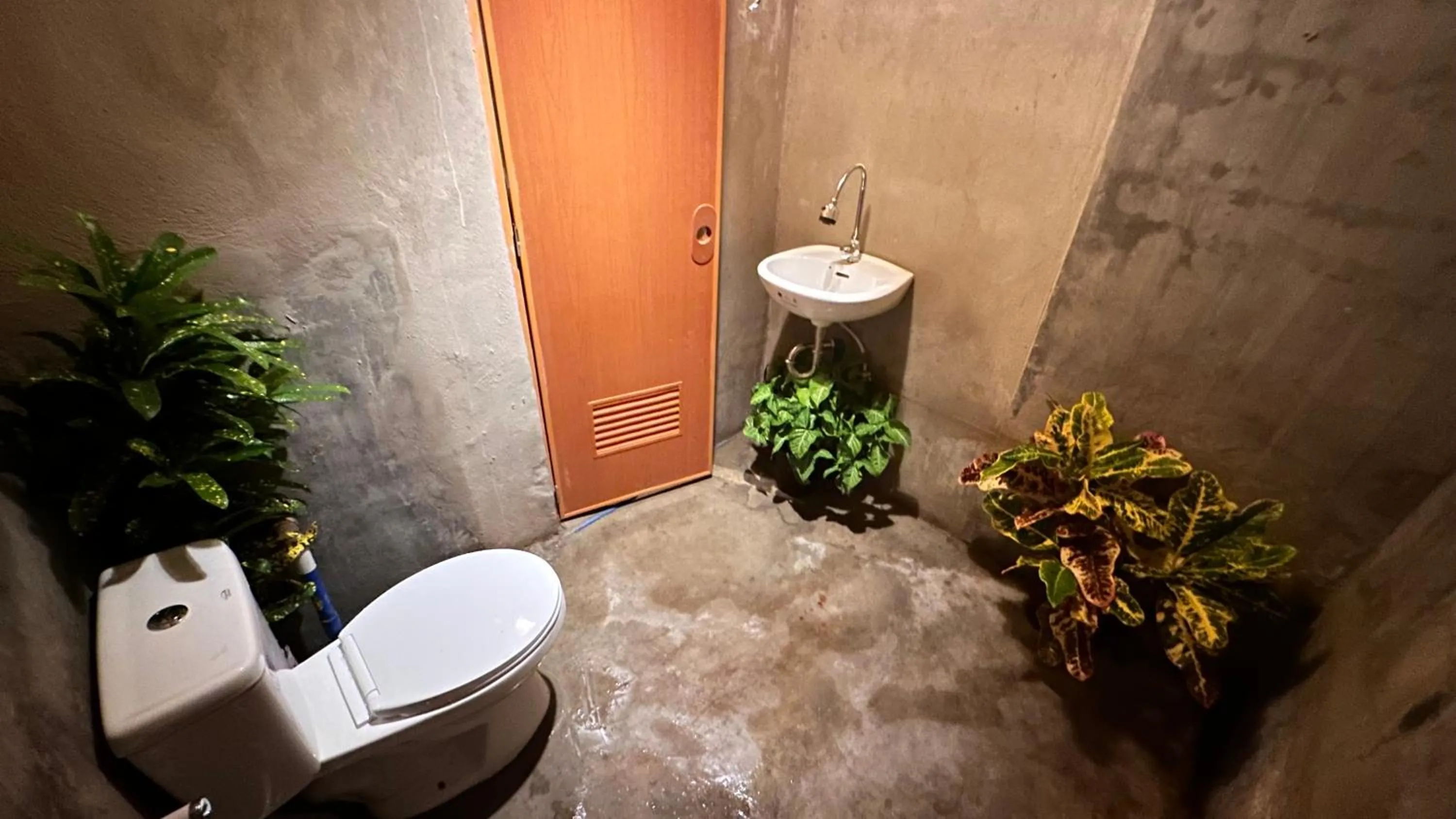 Lionfish Backpackers Hostel Malapascua