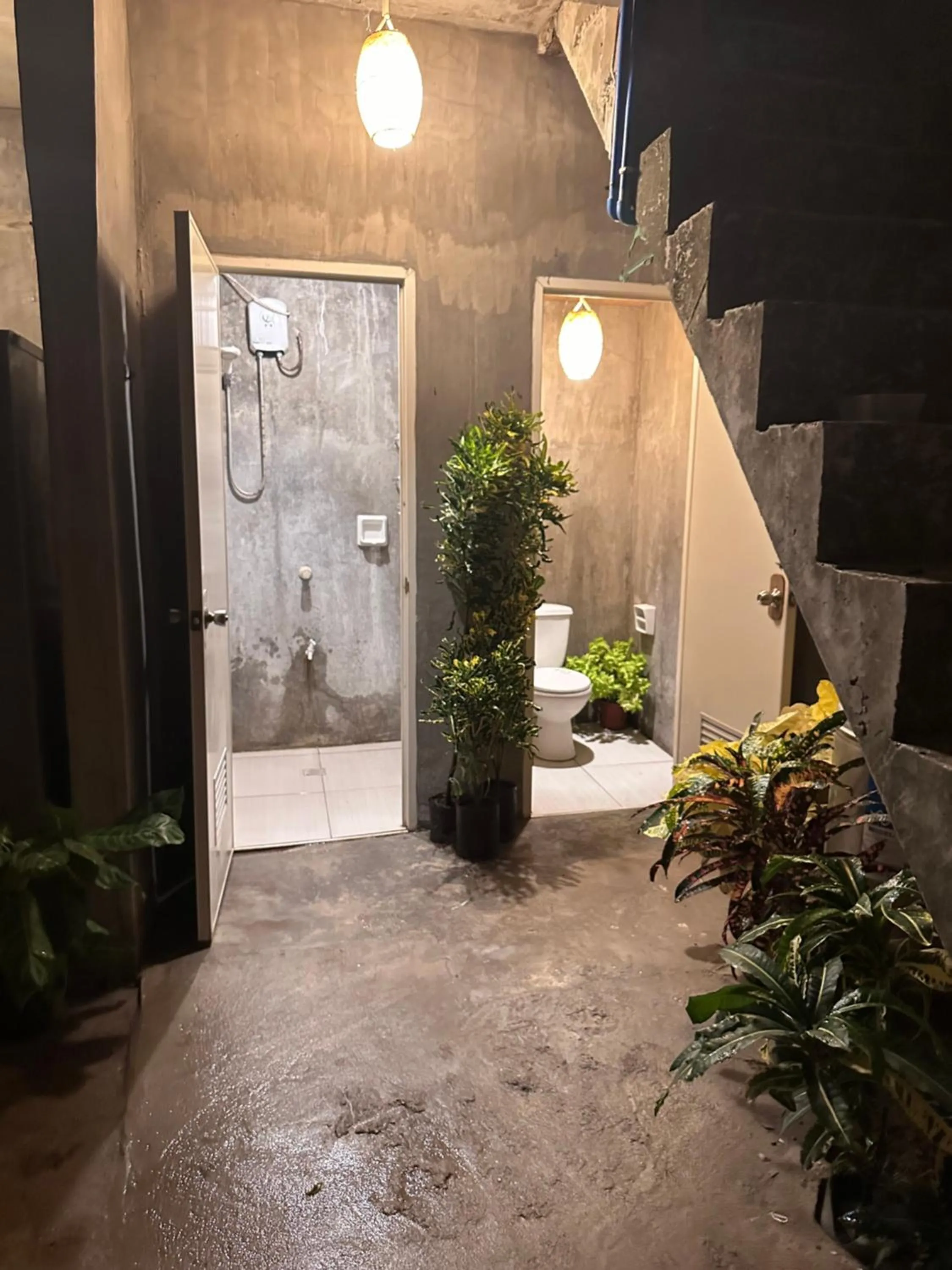 Lionfish Backpackers Hostel Malapascua