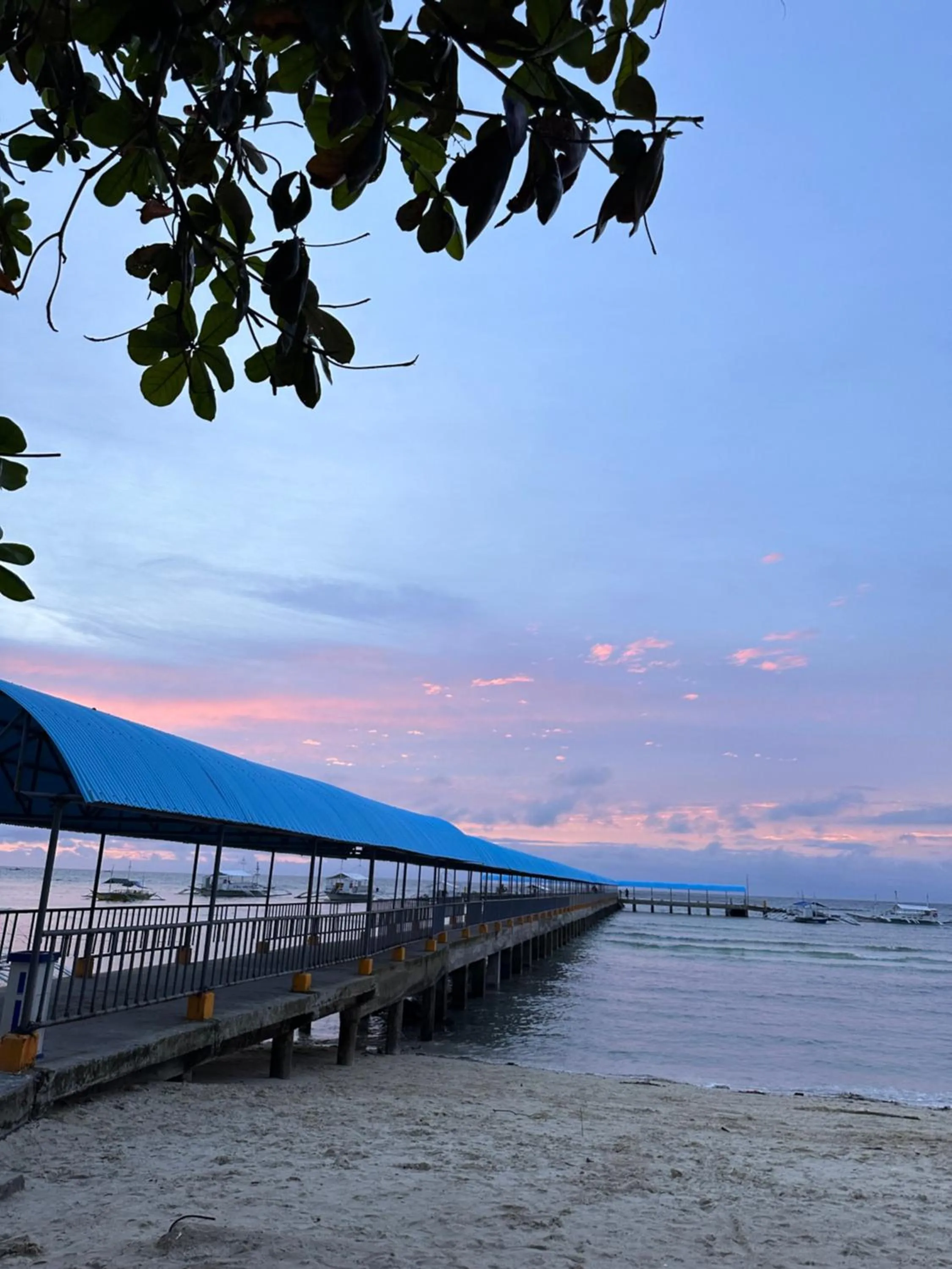 Lionfish Backpackers Hostel Malapascua