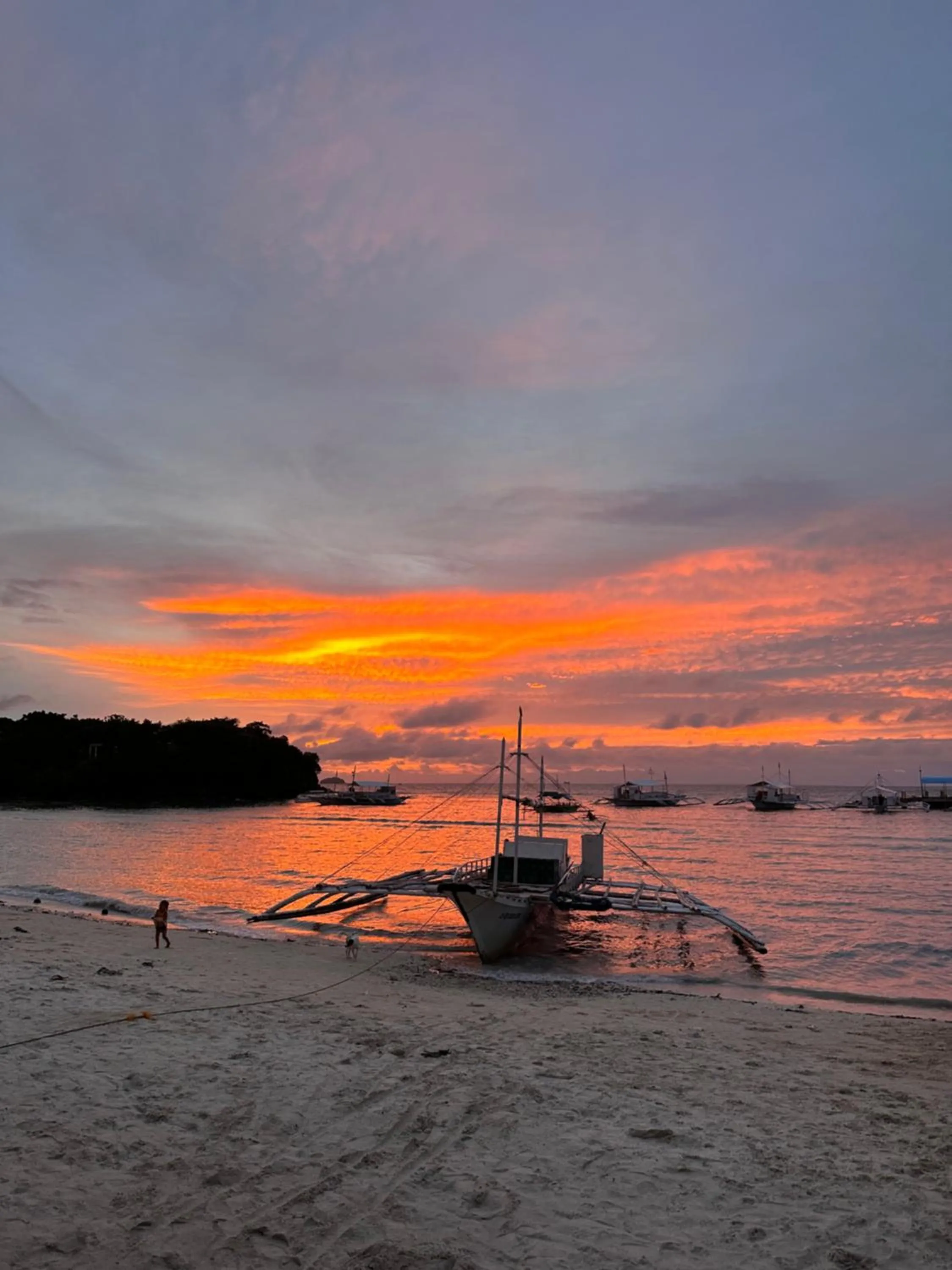 Lionfish Backpackers Hostel Malapascua