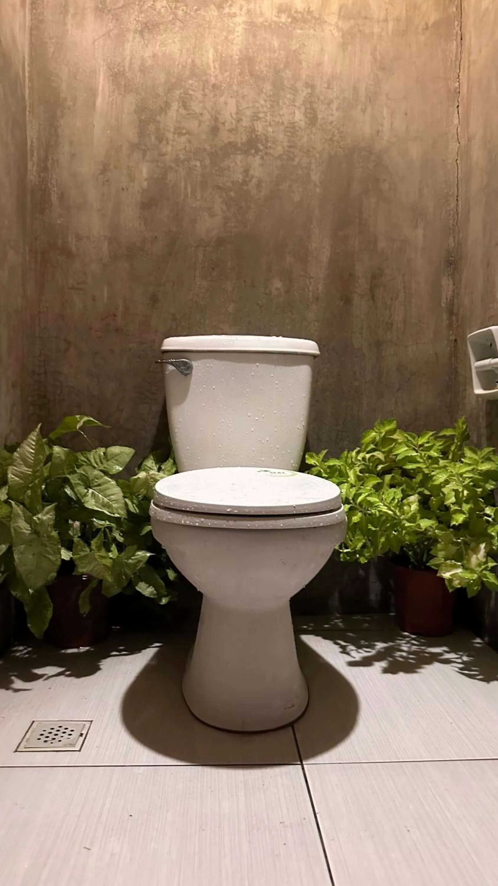 Lionfish Backpackers Hostel Malapascua