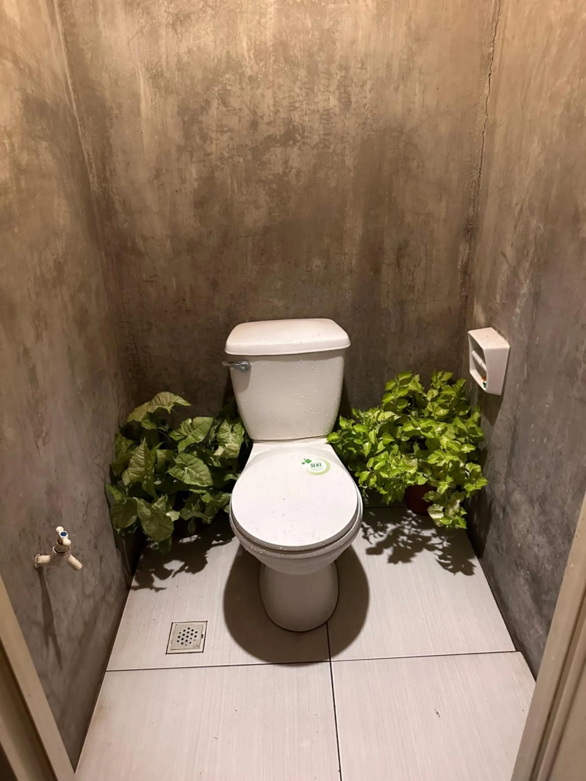 Lionfish Backpackers Hostel Malapascua