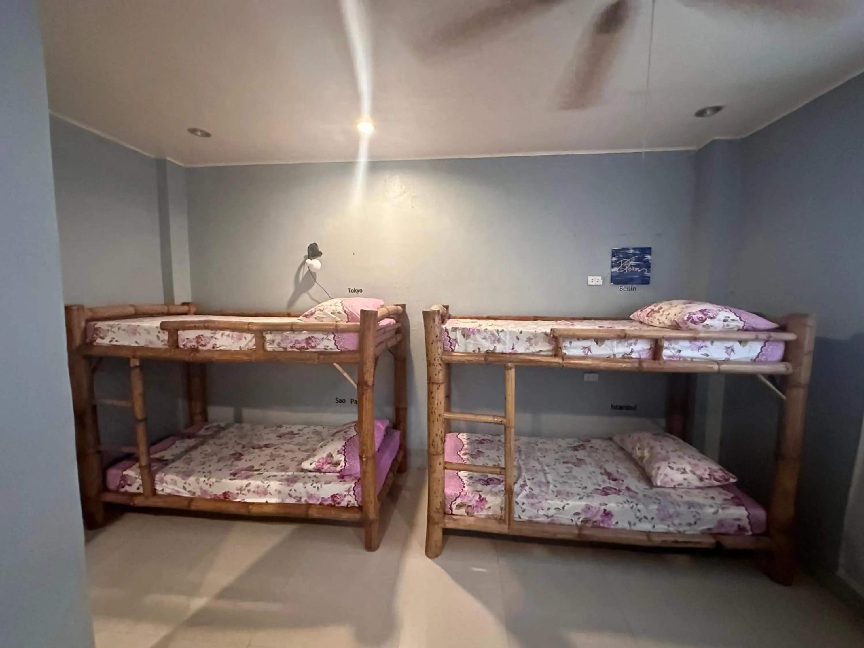 Bed in Lionfish Backpackers Hostel Malapascua