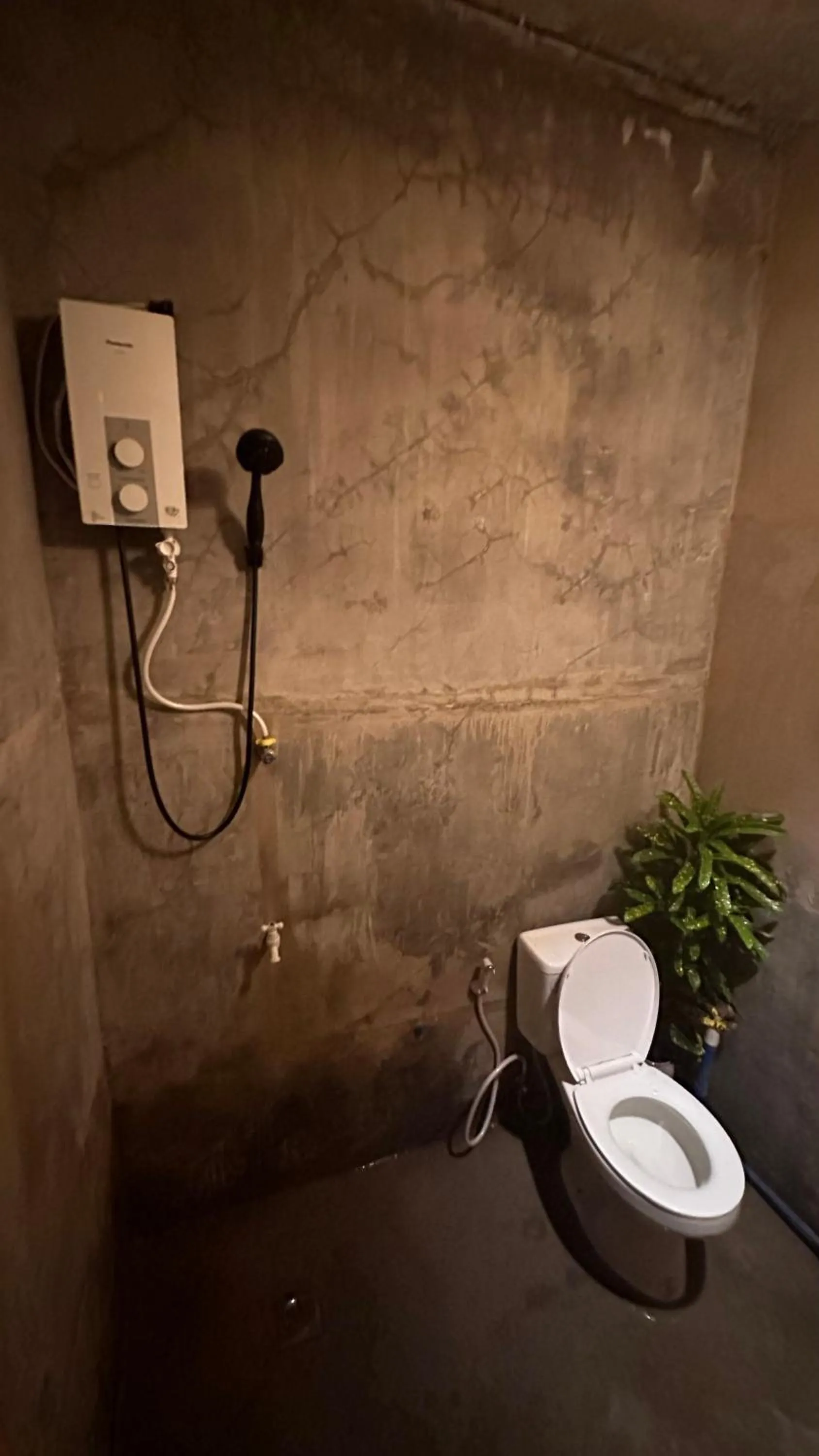 Lionfish Backpackers Hostel Malapascua