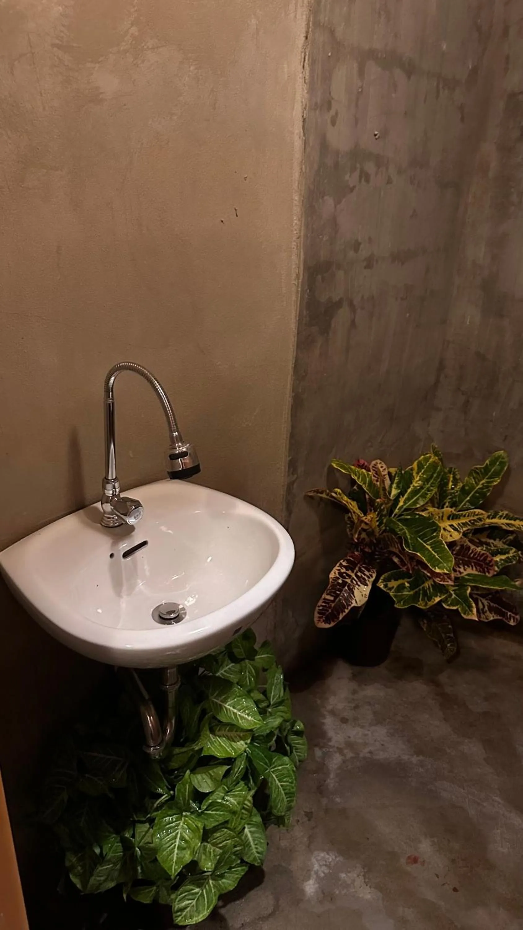 Lionfish Backpackers Hostel Malapascua