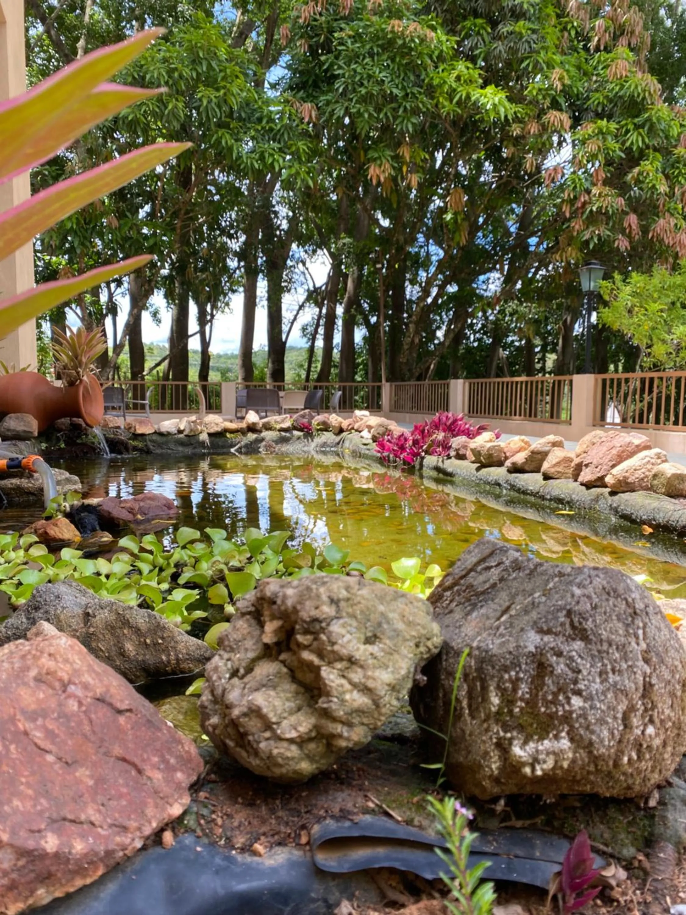 Garden in Hotel Fazenda Pirâmides