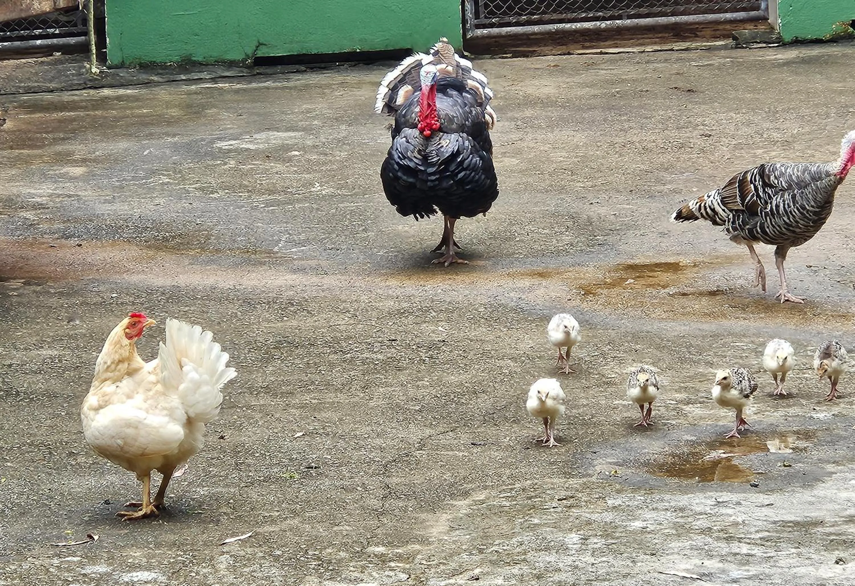 Activities in Hotel Fazenda Pirâmides