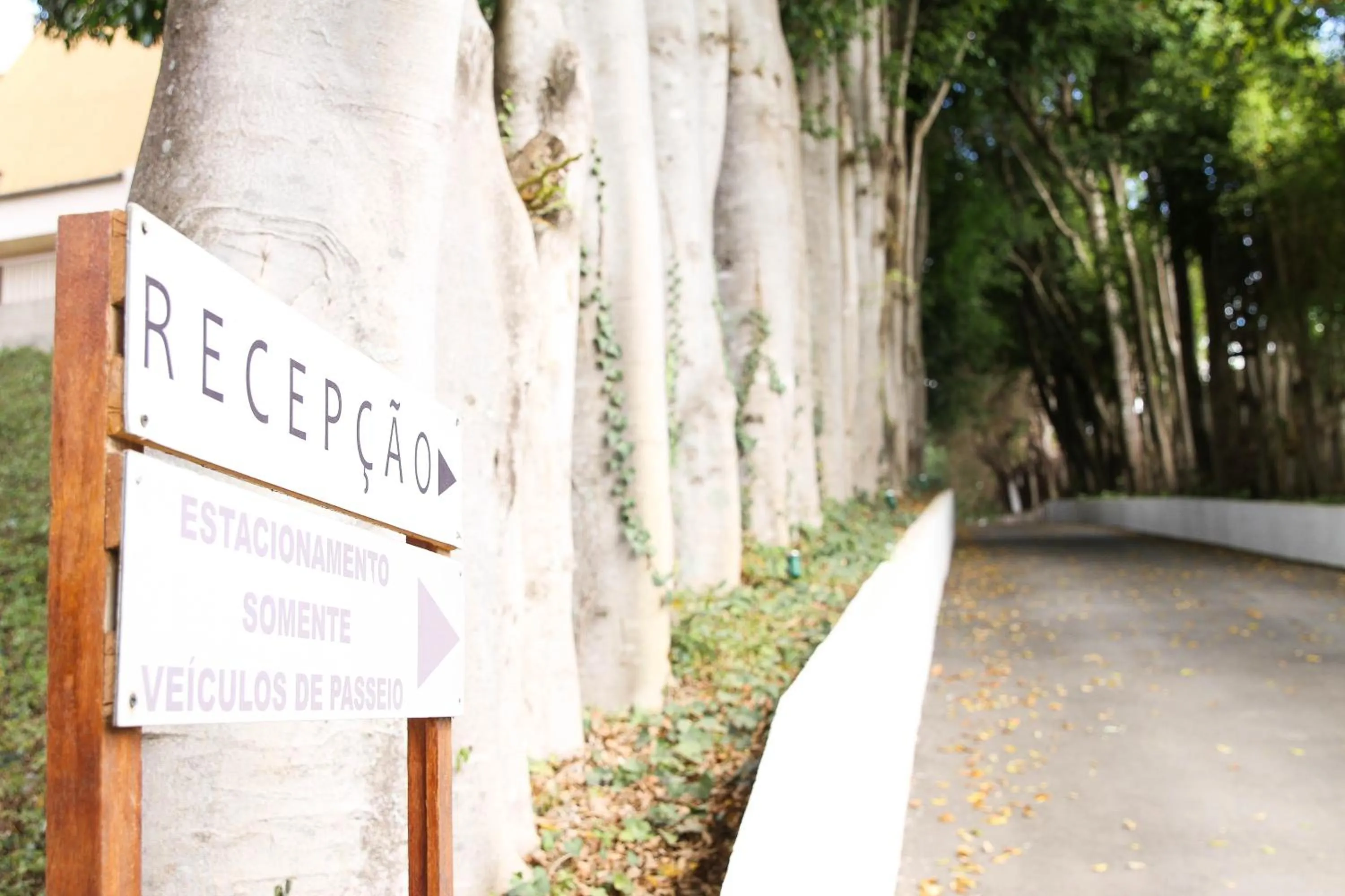 Facade/entrance in Hotel Fazenda Pirâmides