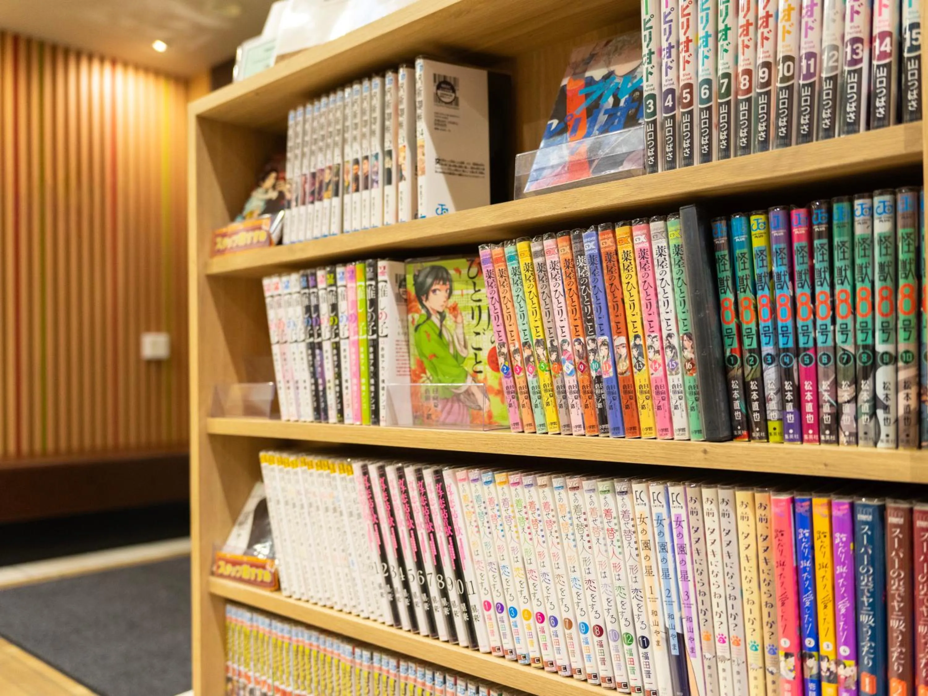 Super Hotel Shinjuku Kabukicho