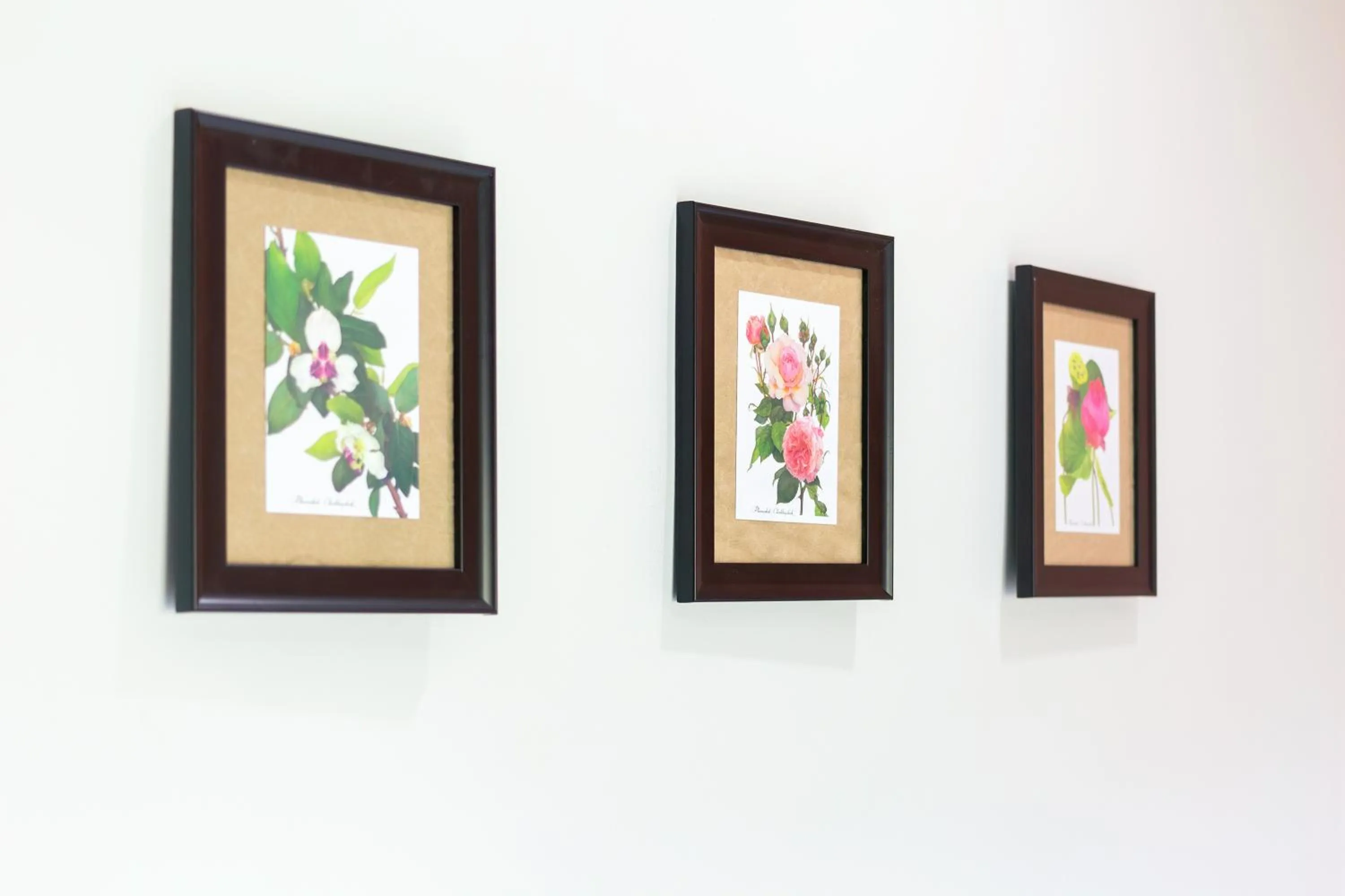 Decorative detail in Kamala Beach Residence