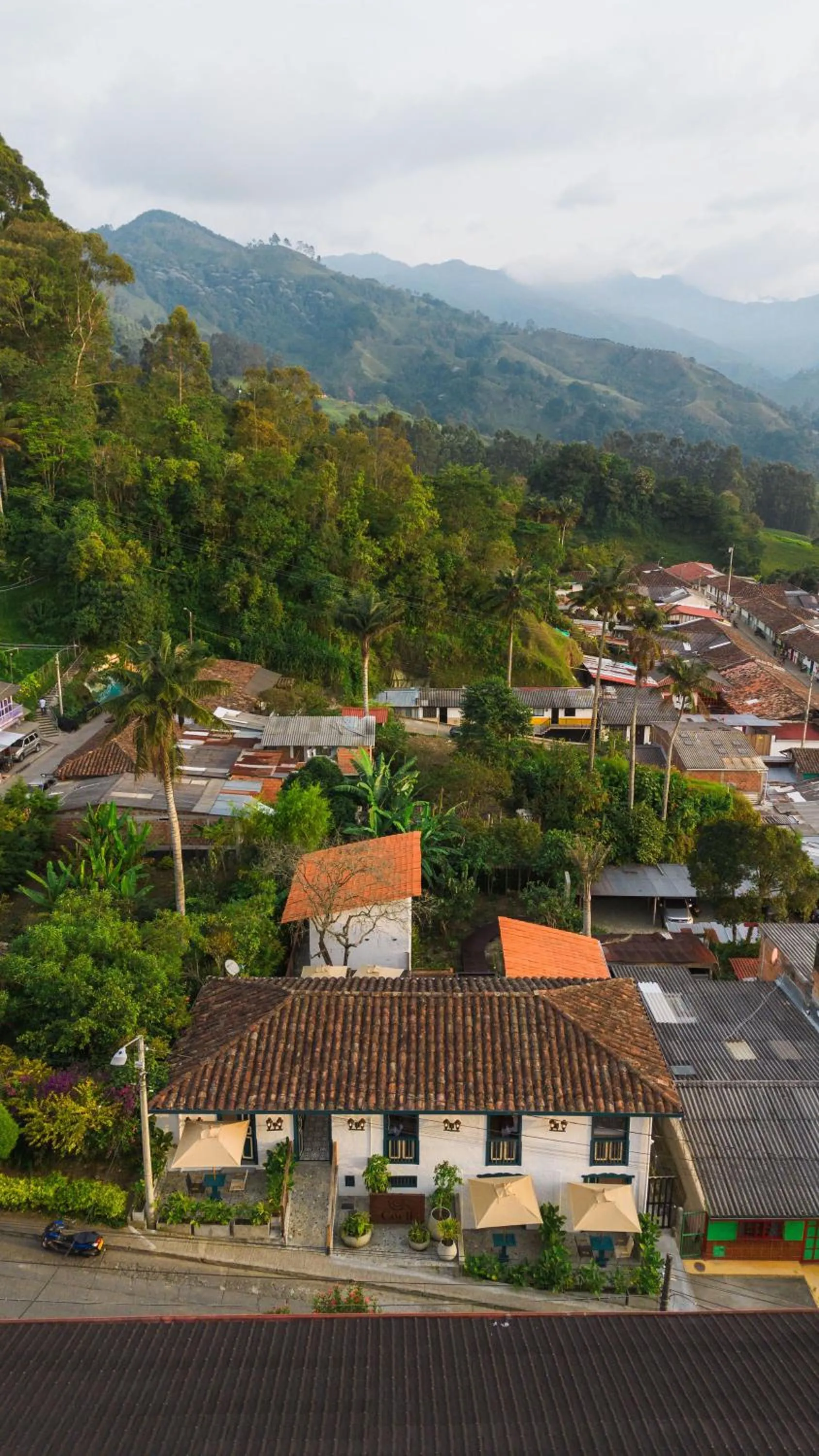 View (from property/room) in Cocli Hotel Boutique Salento