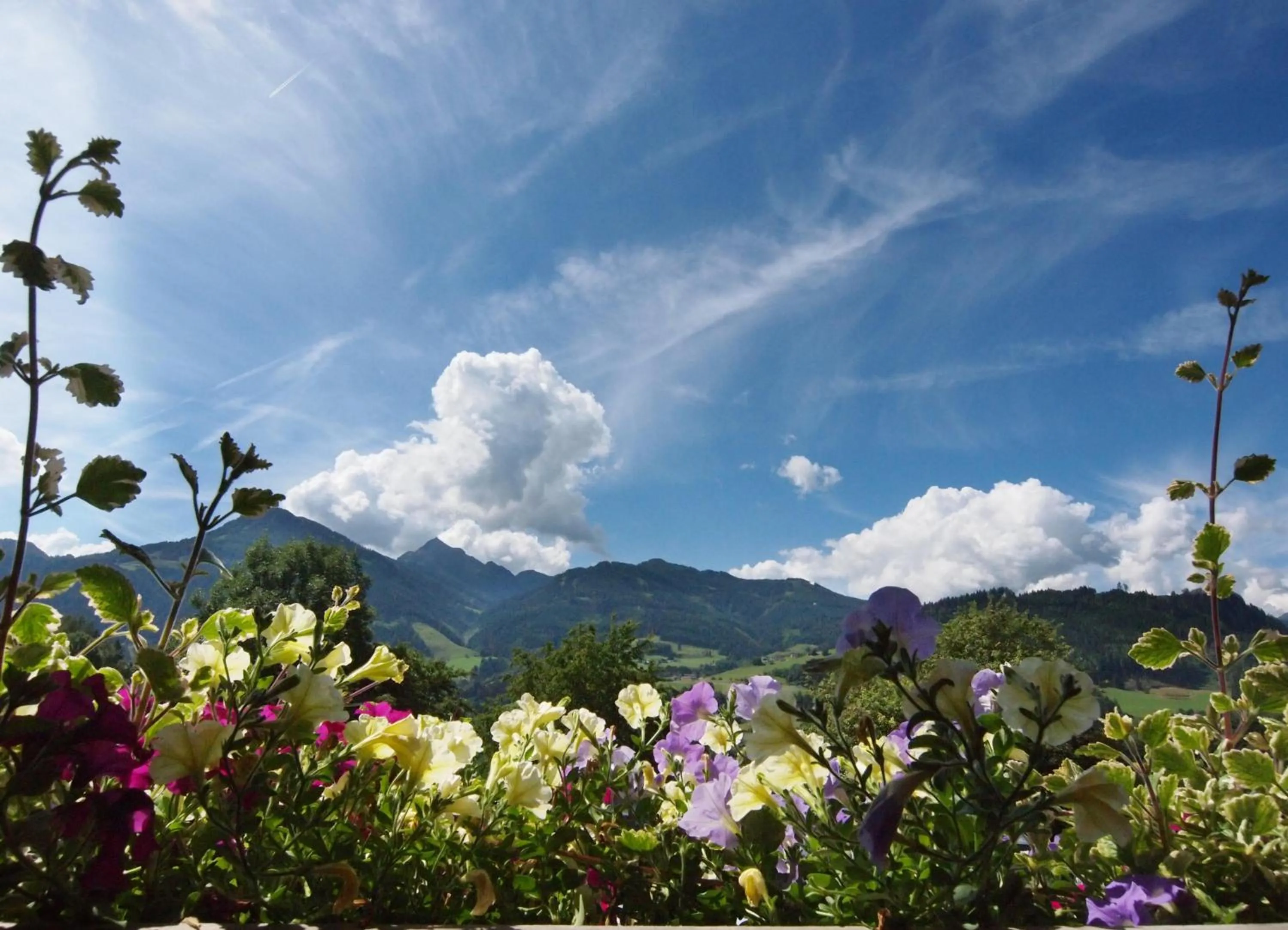 Garden in Gasthof Pesbichl