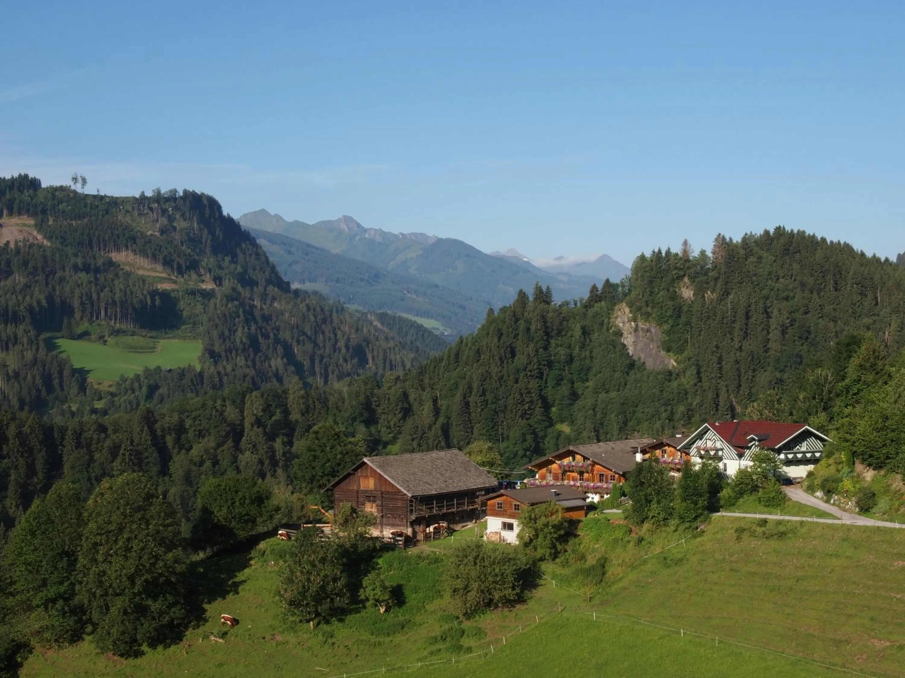 Bird's eye view in Gasthof Pesbichl