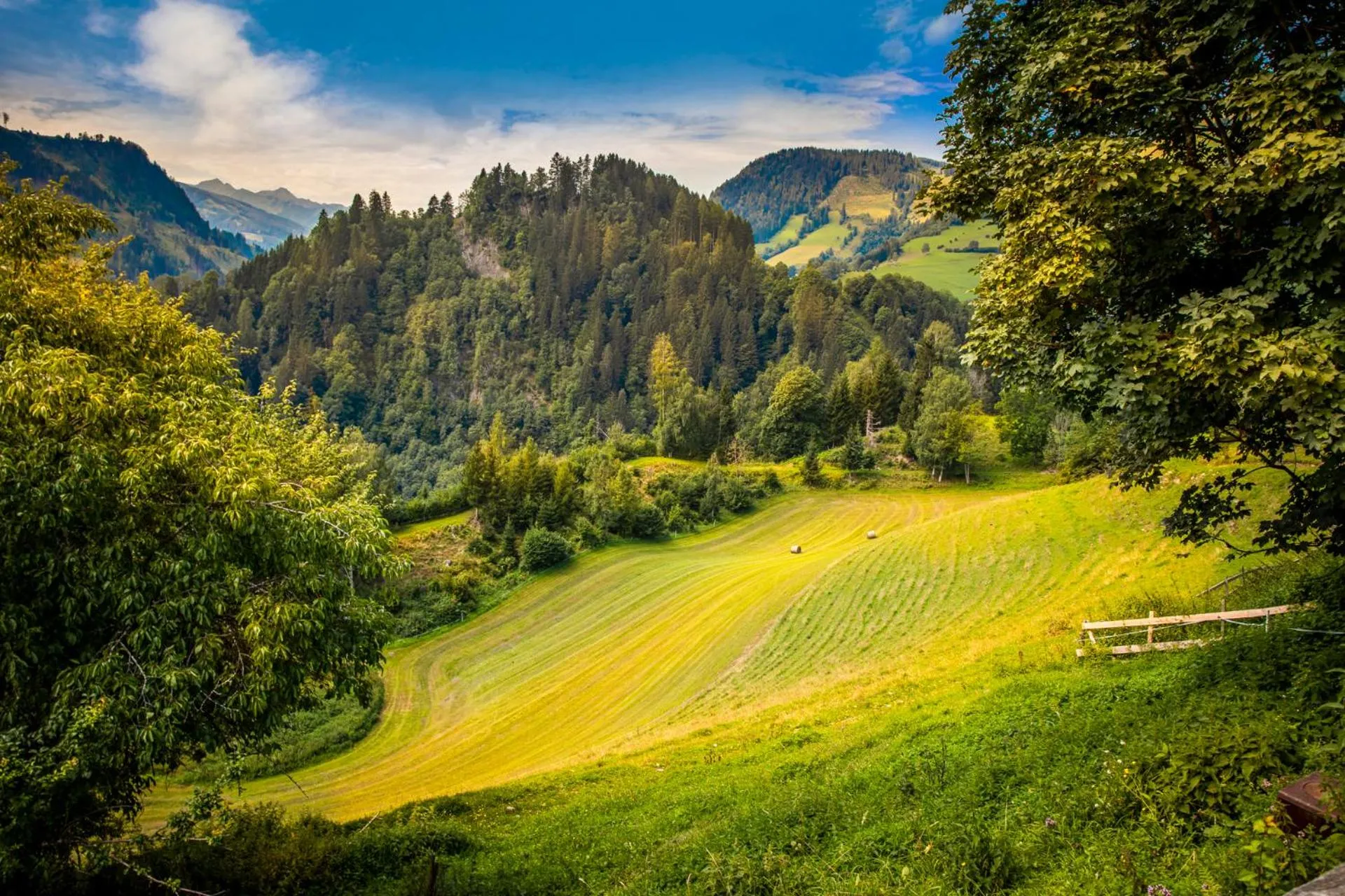 Natural landscape in Gasthof Pesbichl