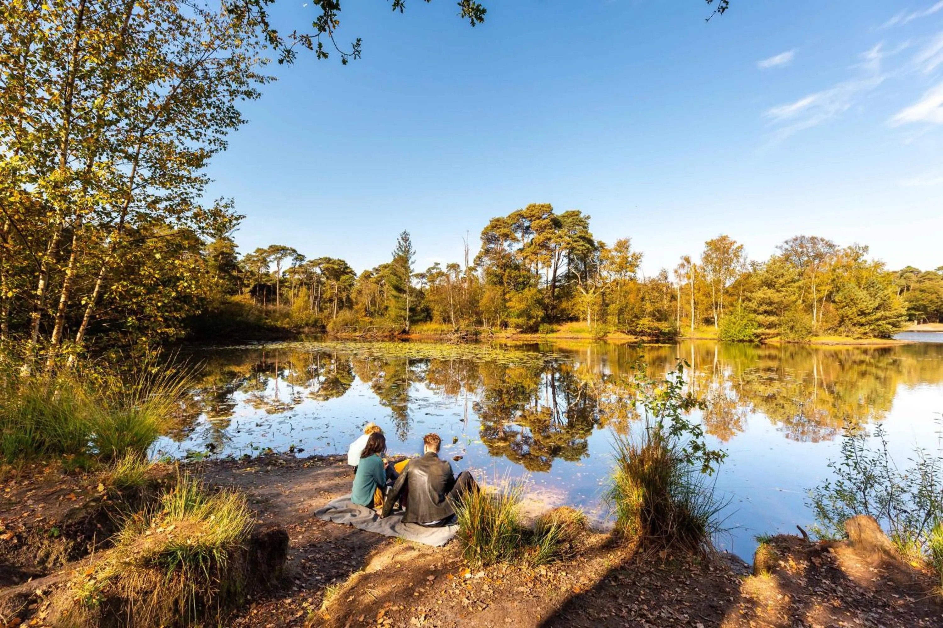Natural landscape in Hotel de Leijhof Oisterwijk