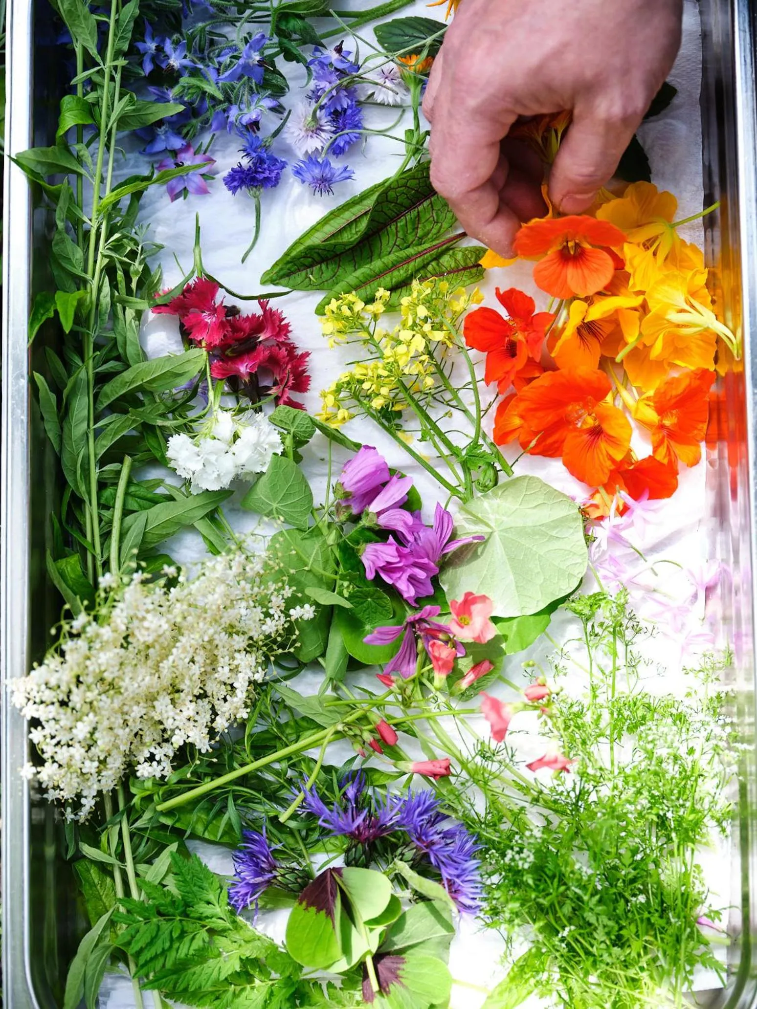 Garden in Hotel de Leijhof Oisterwijk