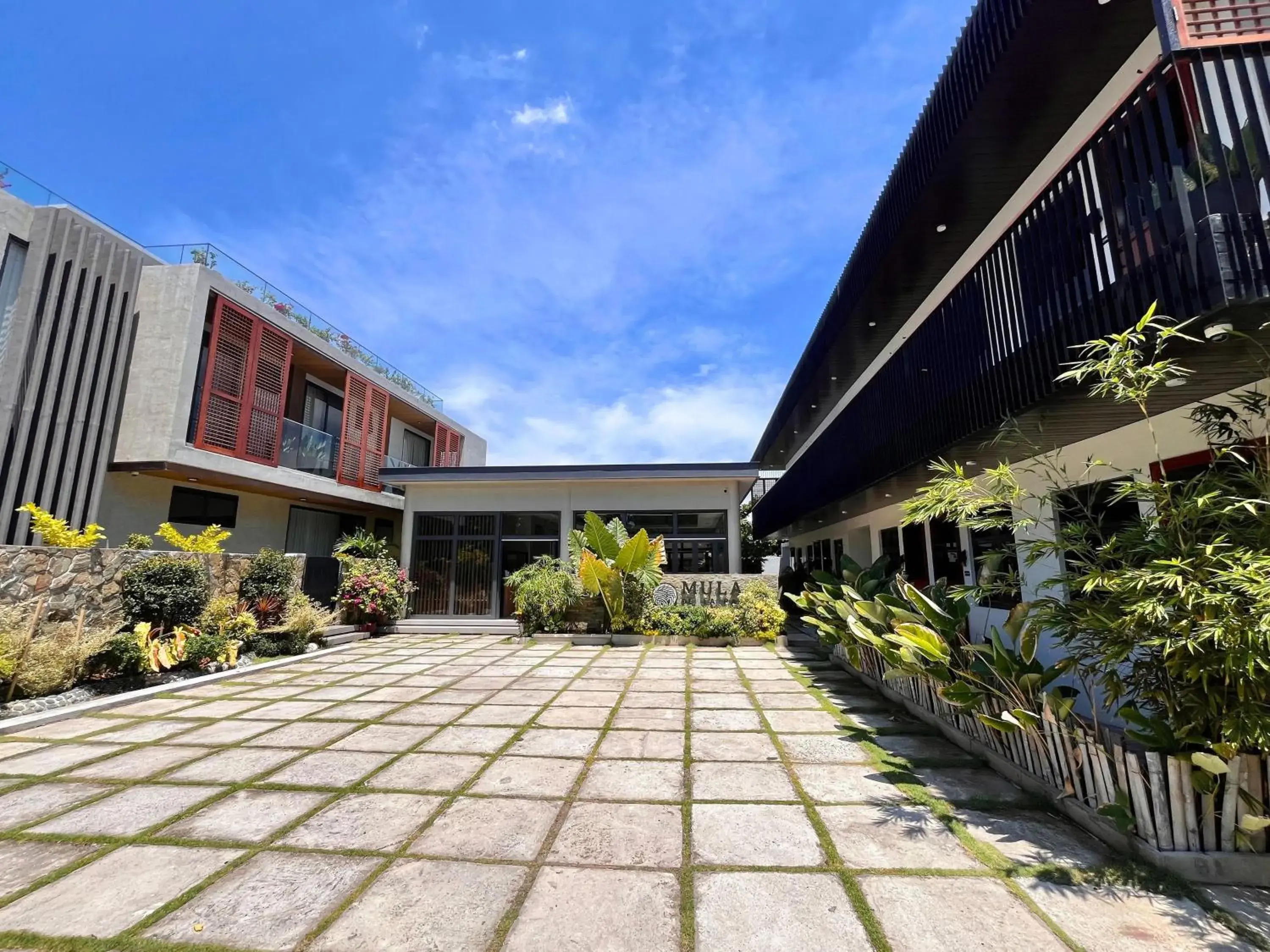 Mula De La Paz Mula De La Paz