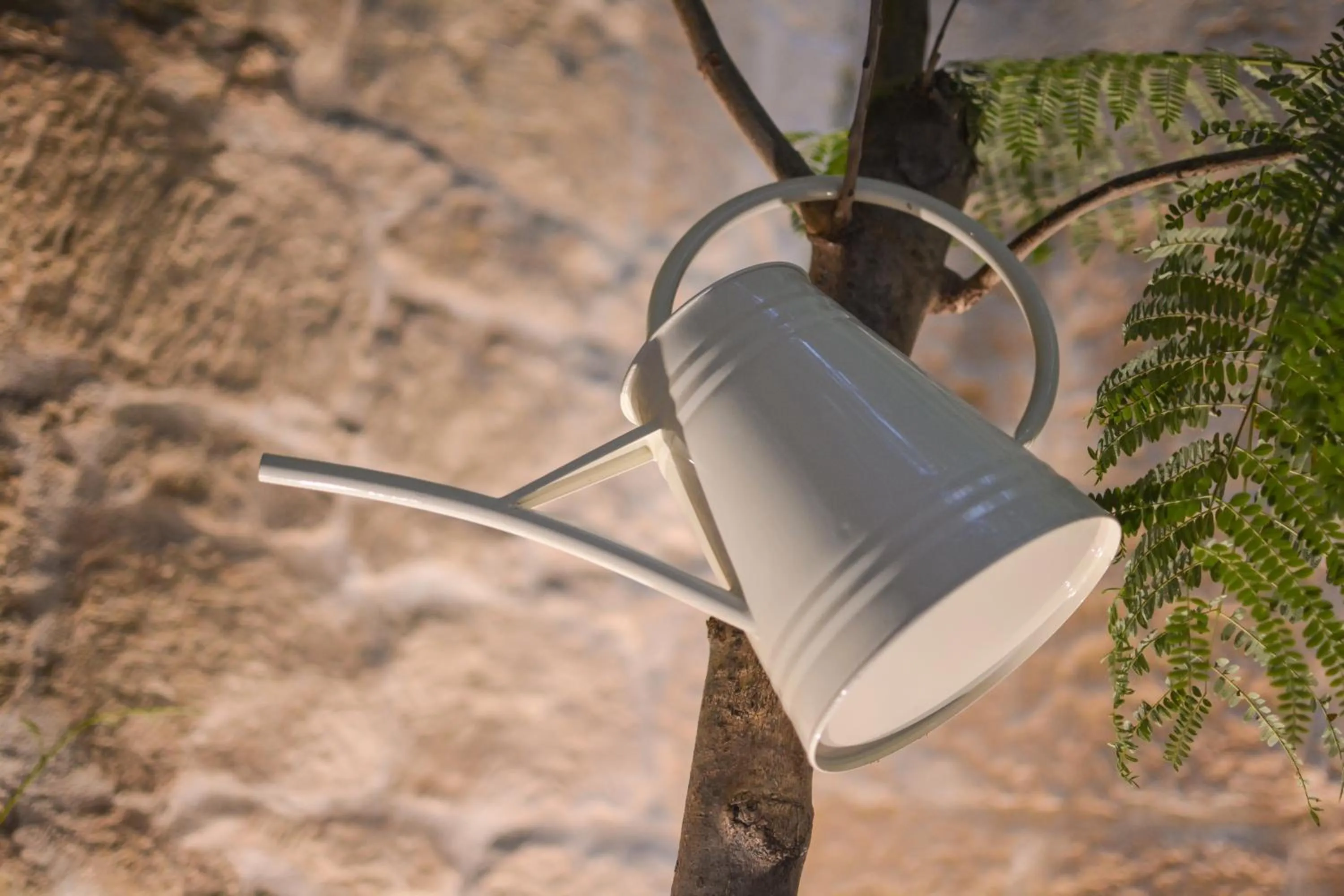 Other in The Vincent Boutique Suites