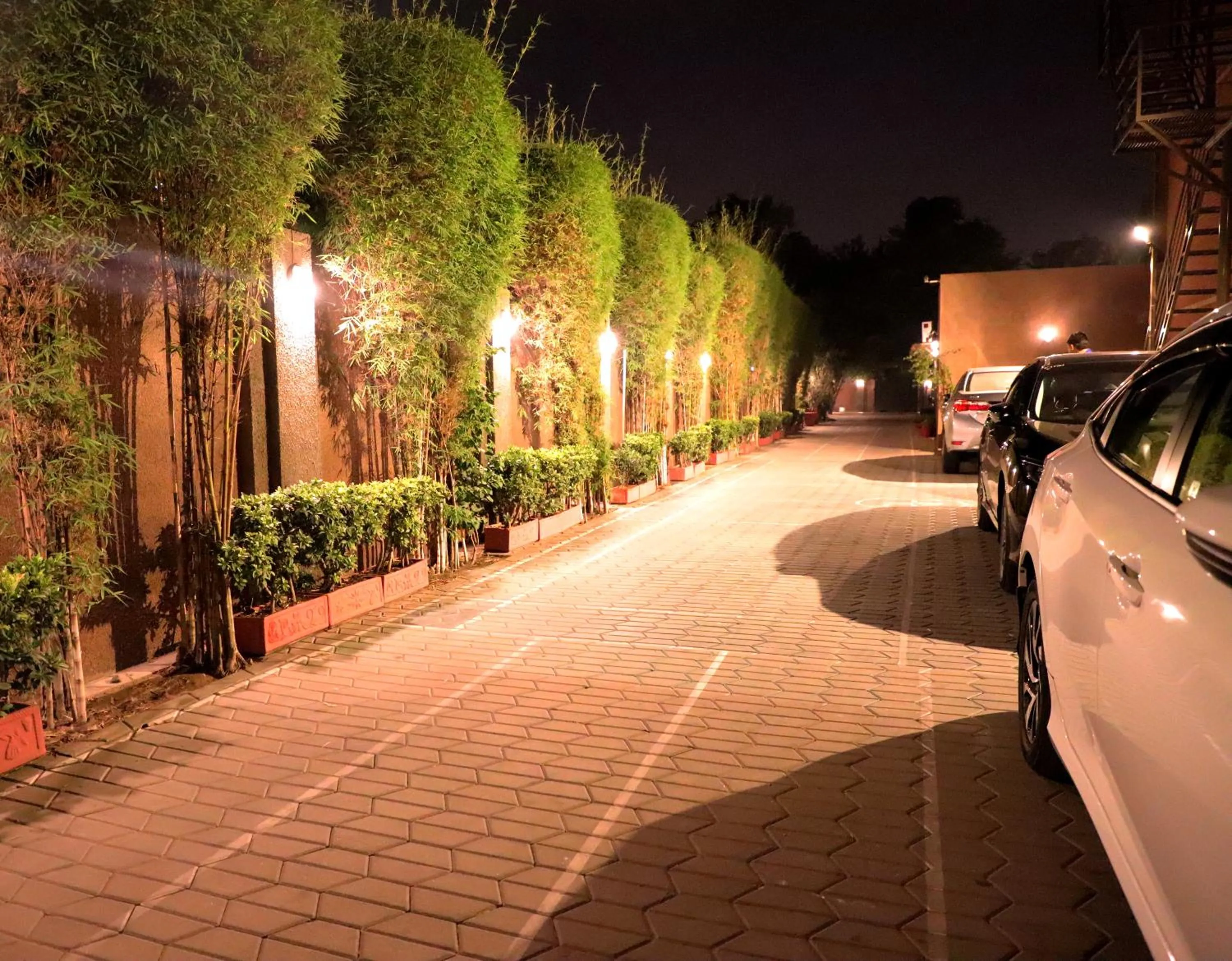 Garden view in The Residency Hotel