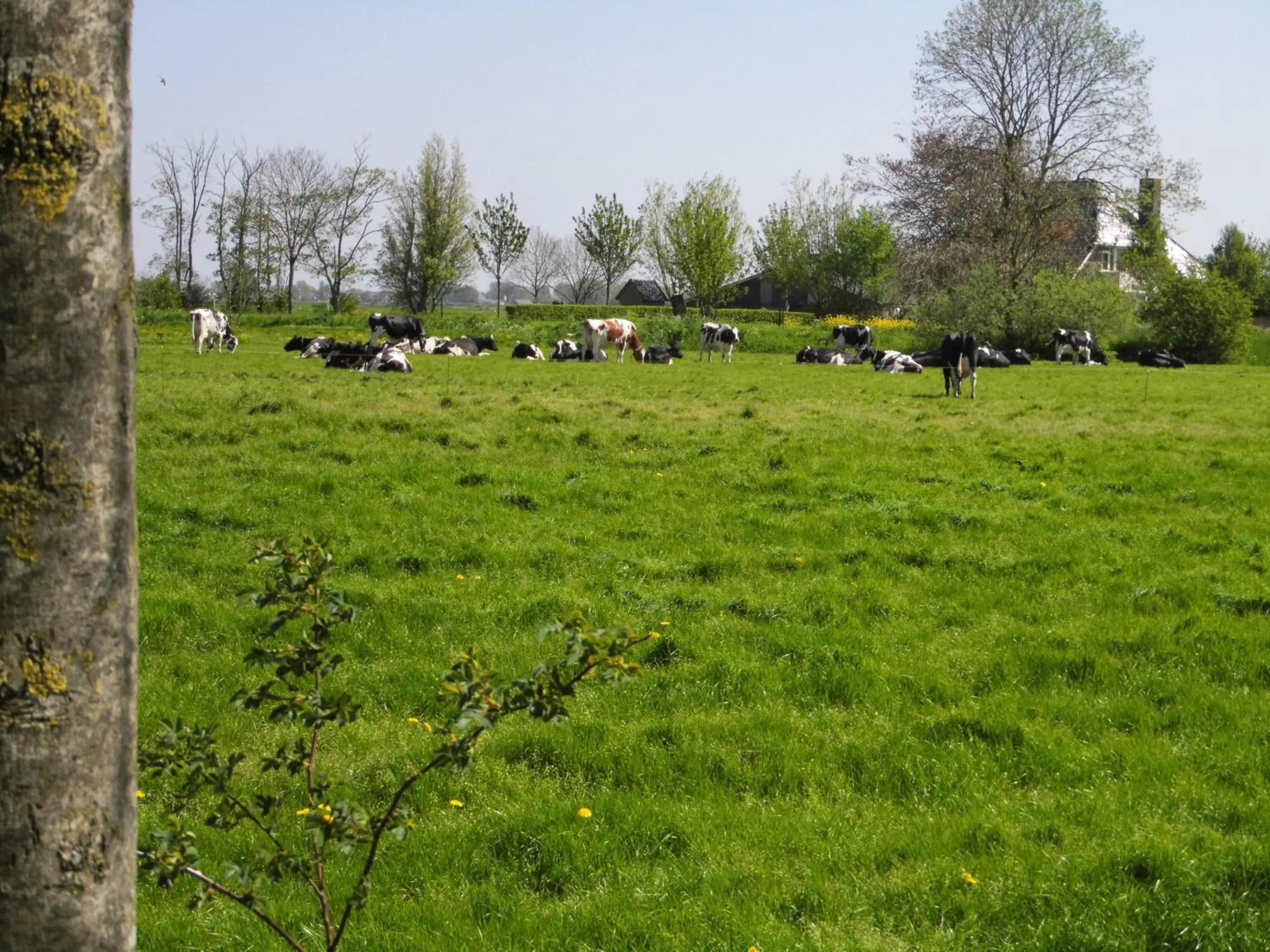 Spring in Vakantiehuisjes Marsherne