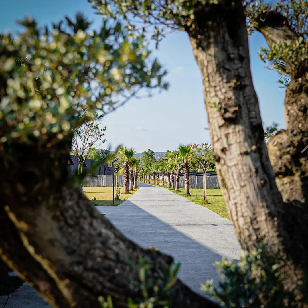 Vital Göl Sapanca Özel Havuzlu Bungalov & Villa