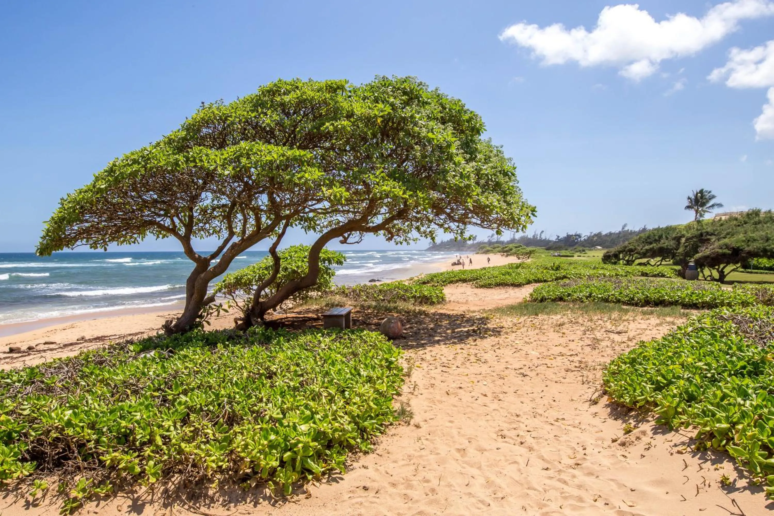 Kauai Beach Resort Room 2309