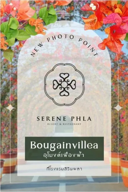 Serene Phla Resort and Restaurant