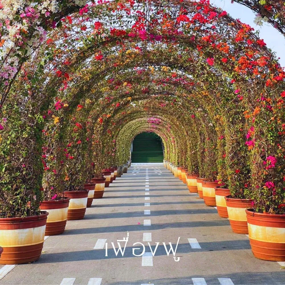 Serene Phla Resort and Restaurant