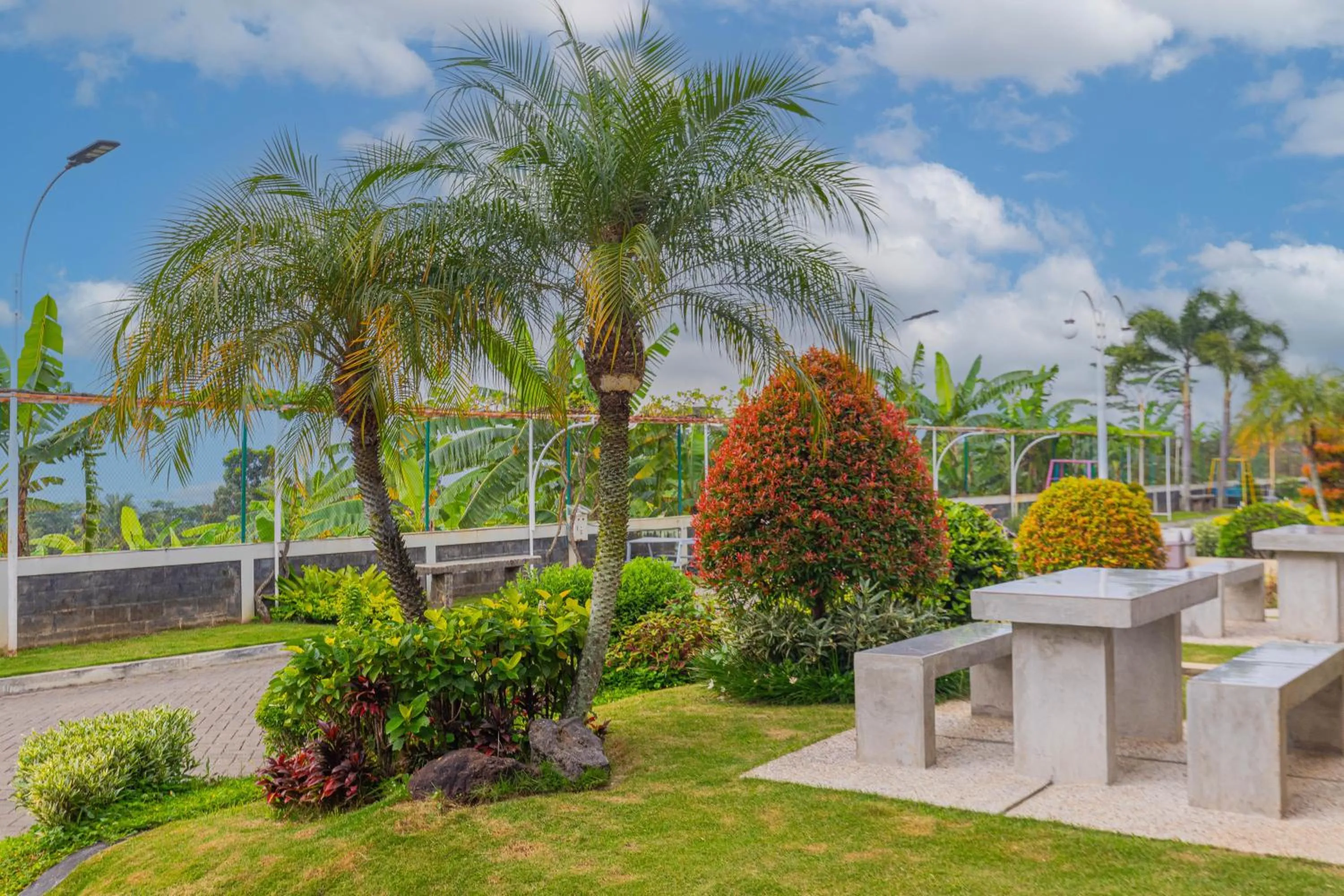 Natural landscape in Hotel Griya Katarina