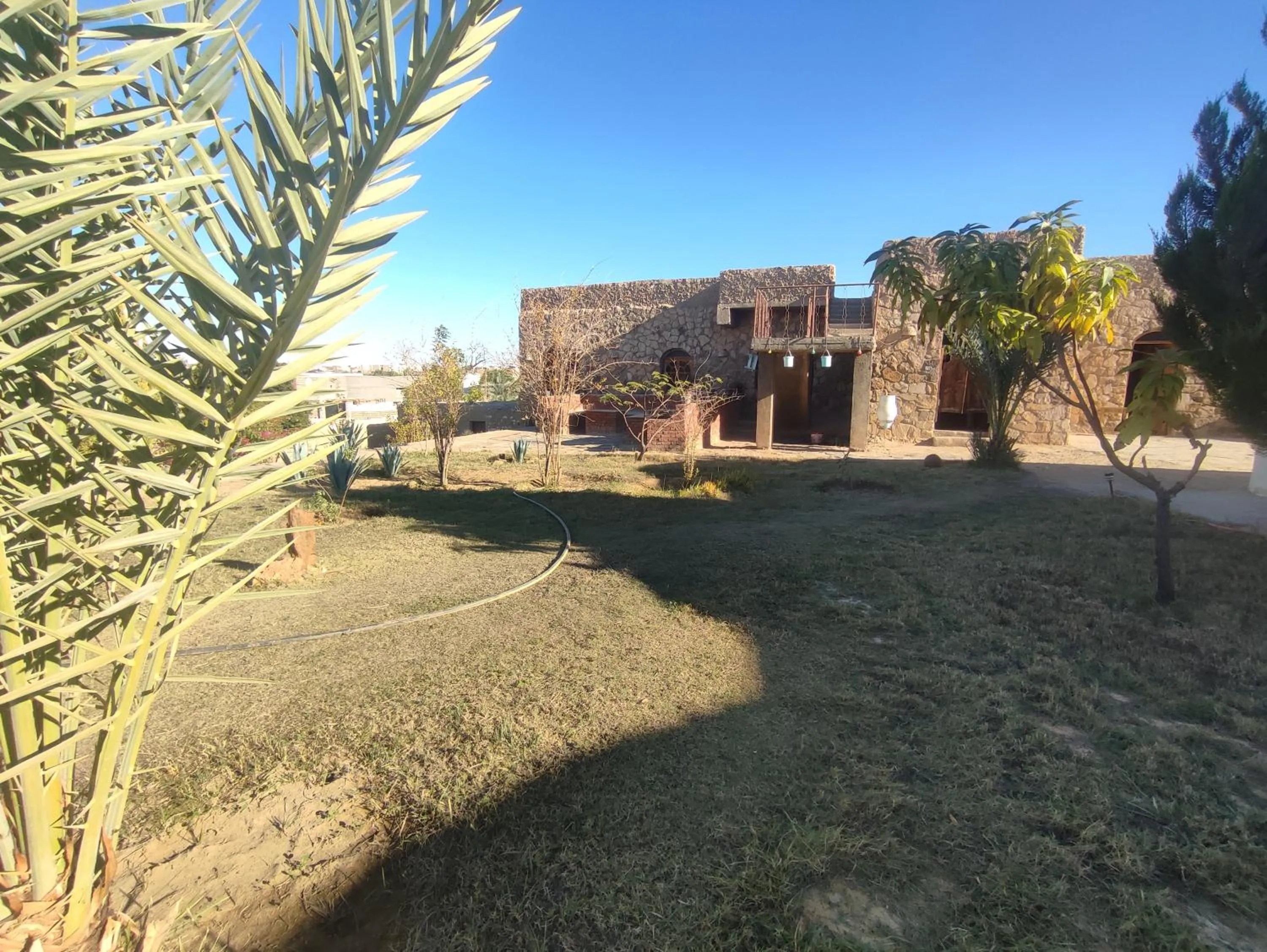 Sand Rose Bahriya Hotel