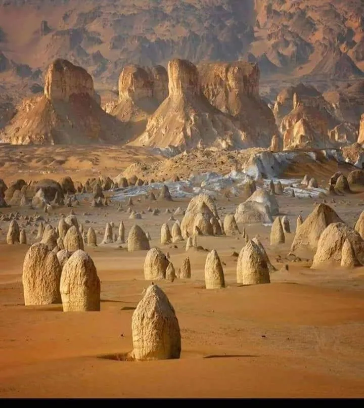 Sand Rose Bahriya Hotel