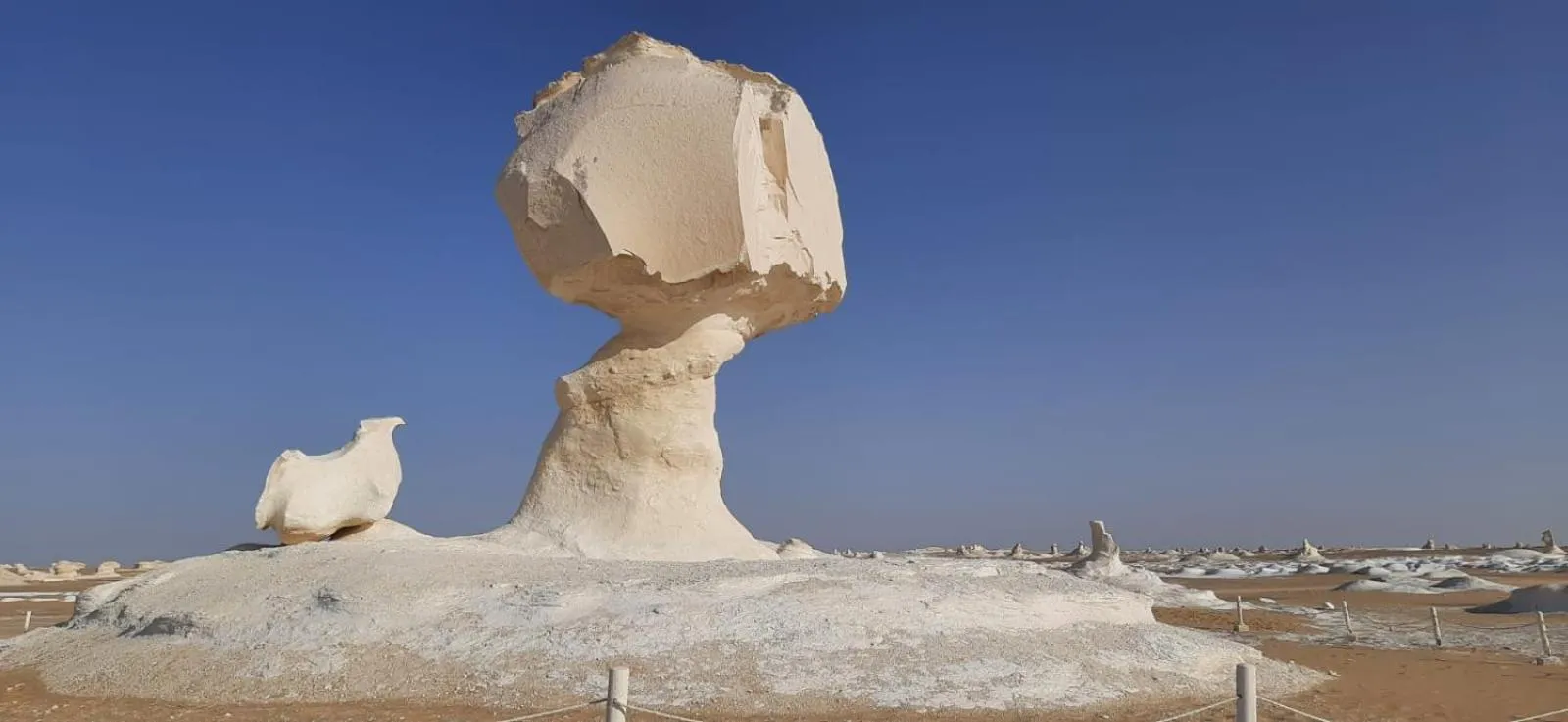 Sand Rose Bahriya Hotel