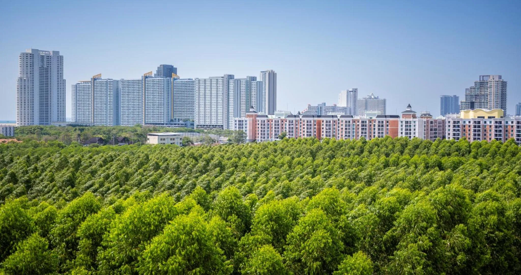 Garden view in Wyndham Jomtien Pattaya